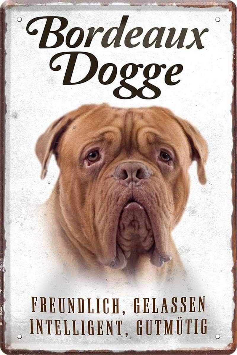 WOGEKA ART Metallbild Hunde-Rassen Steckbrief 20 x 30 cm Blechschild Haustier Hund Deko, Bordeaux Dogge