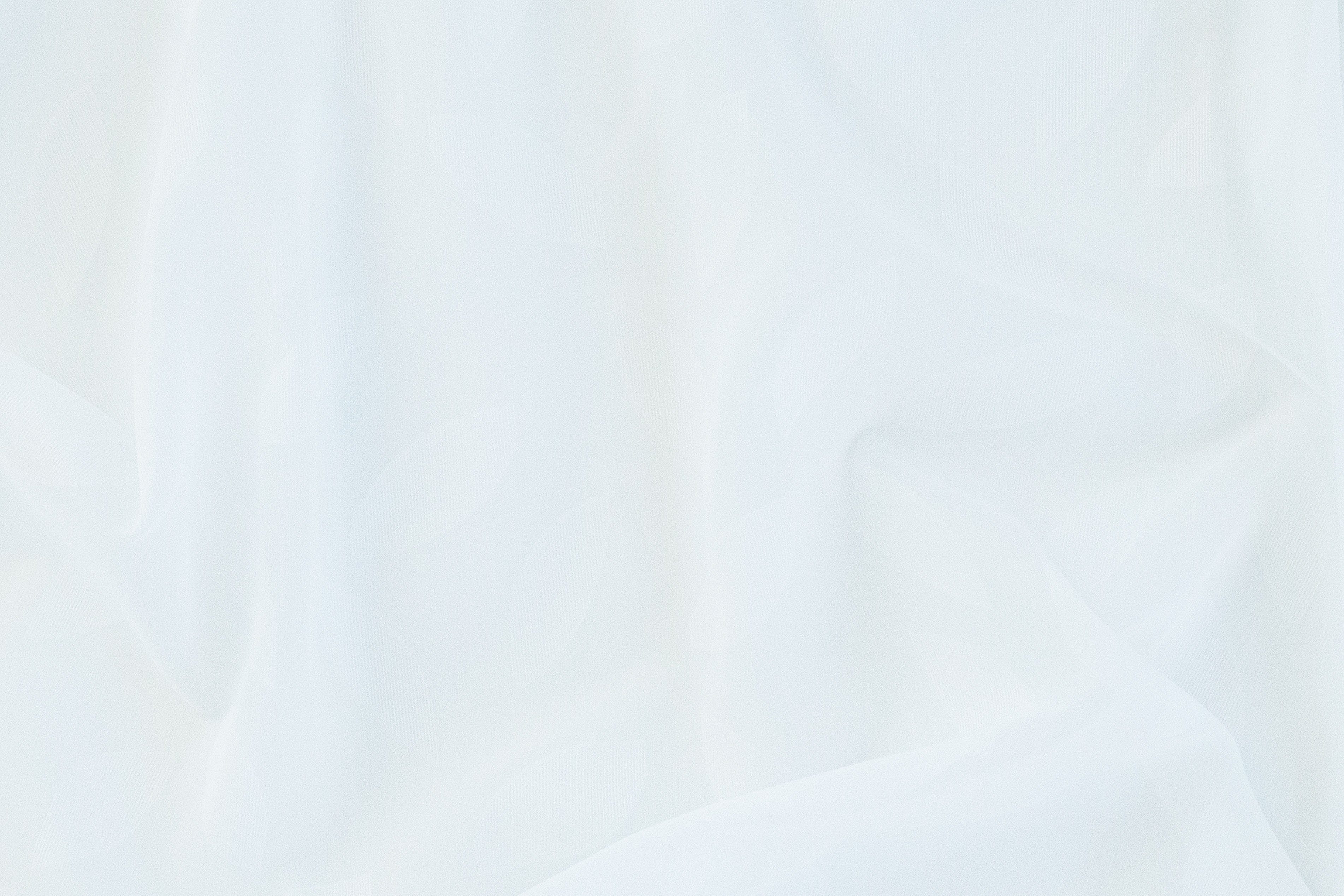 Gardine Keela, white (1 floral, halbtransparent, Blumen, Schlaufen St), HOMING, Schlafzimmer, Wohnzimmer, Blätter, verdeckte Ausbrenner, transparent
