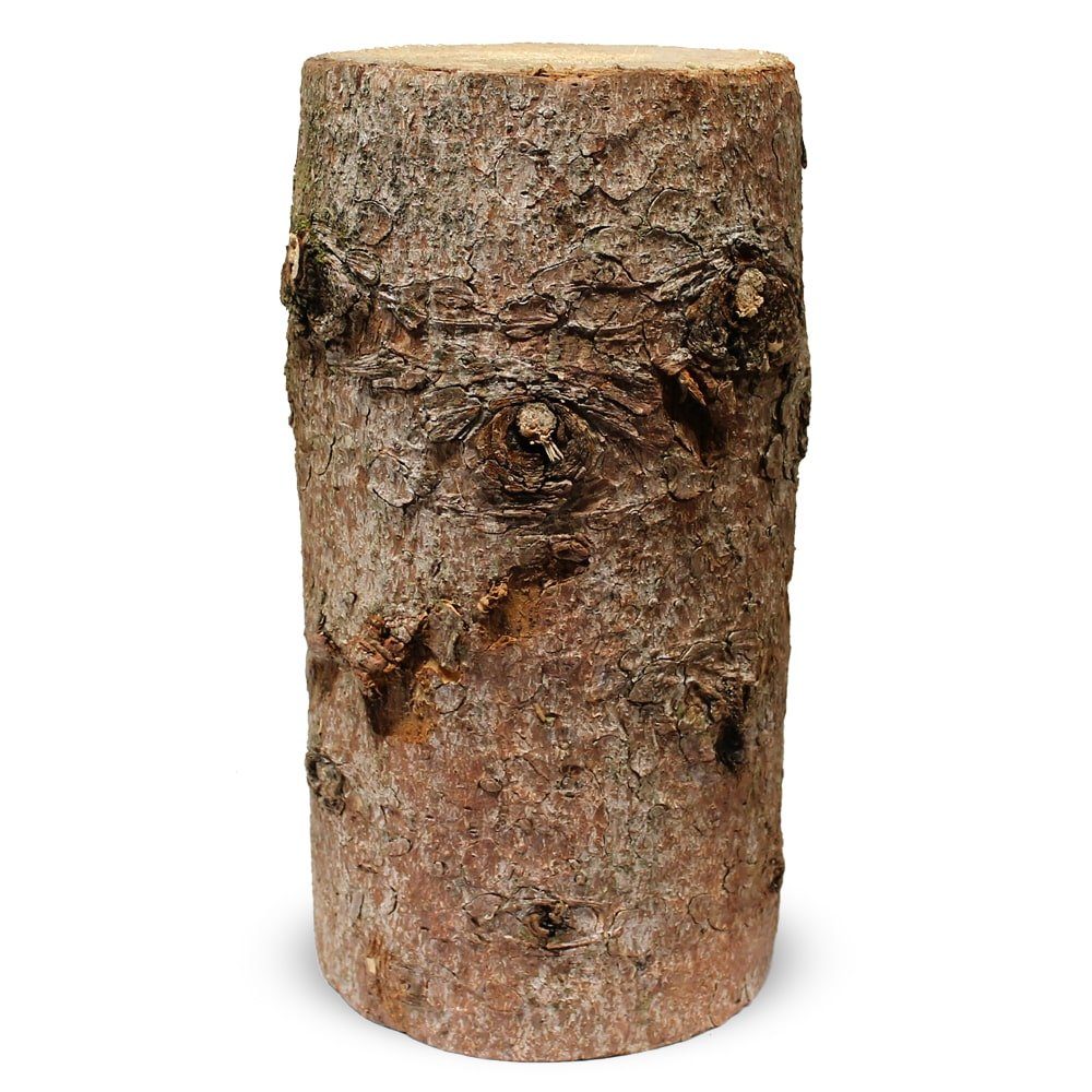 matches21 HOME & HOBBY Bastelnaturmaterial Baumstamm Fichte 18 x 30 cm Stammholz Holz Deko zum Hinstellen, (1-tlg), Holzstamm als Vintage Dekoholz Blumenständer, Hocker und Basteln
