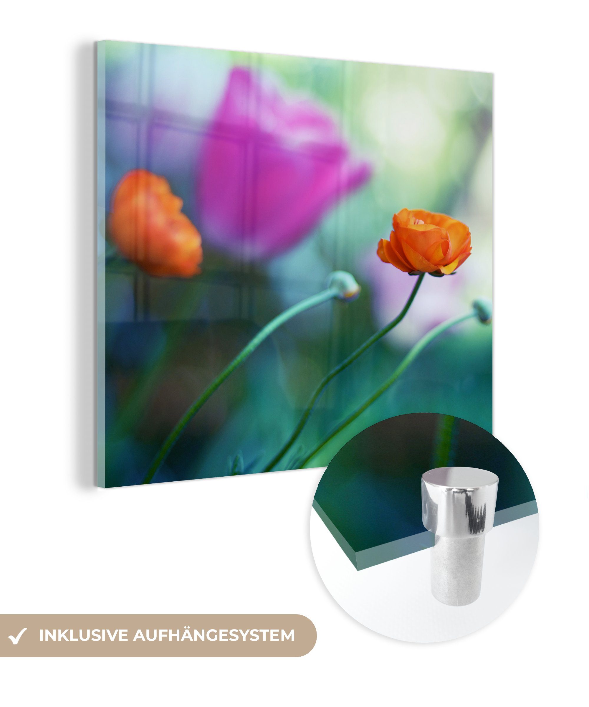 MuchoWow Acrylglasbild Ein Feld mit lila und orangefarbenen Tulpen, (1 St), Glasbilder - Bilder auf Glas Wandbild - Foto auf Glas - Wanddekoration
