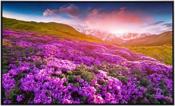 Papermoon Infrarotheizung Berge Blumen, sehr angenehme Strahlungswärme