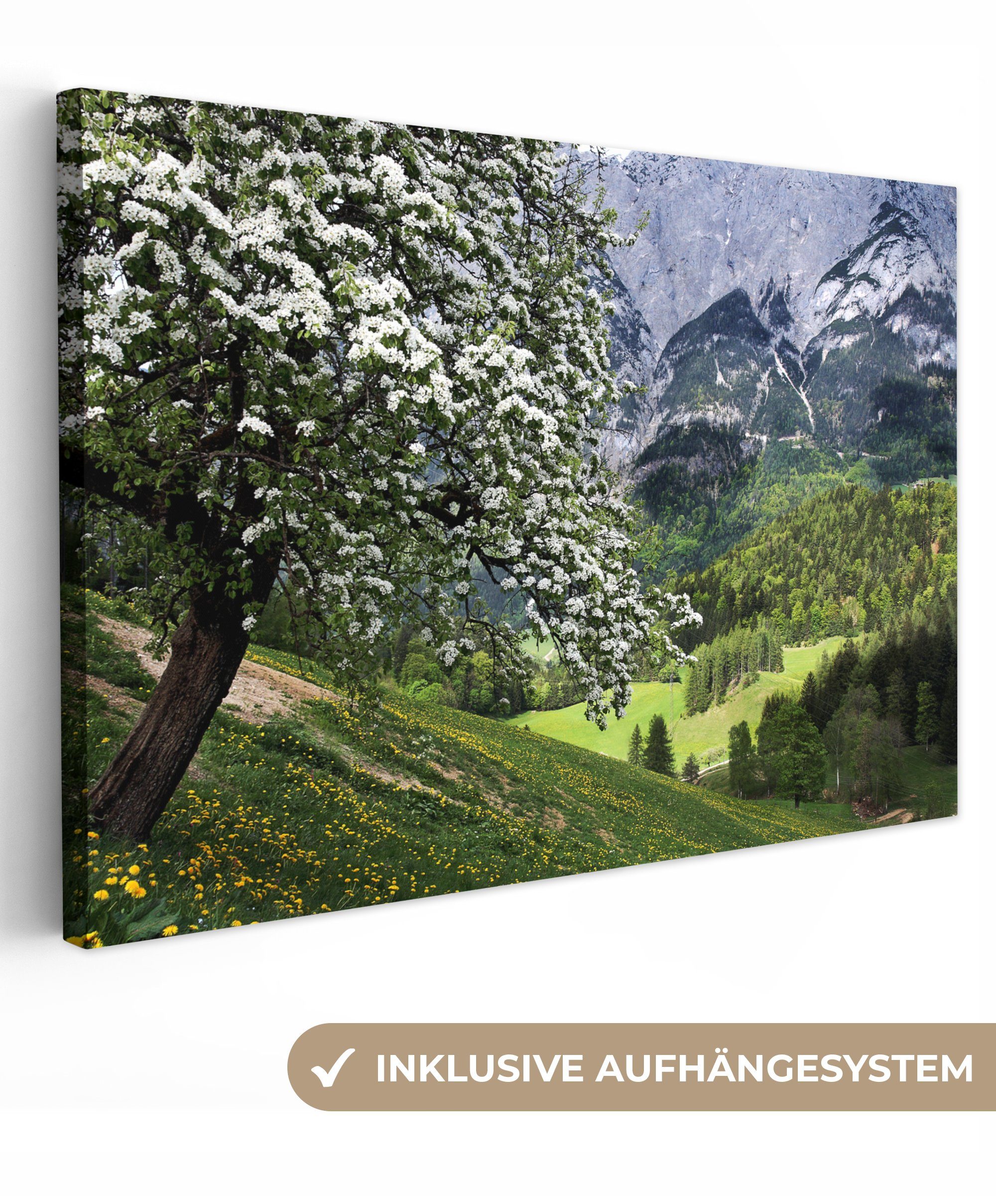OneMillionCanvasses® Leinwandbild Frühling in den Salzburger Alpen, (1 St), Wandbild Leinwandbilder, Aufhängefertig, Wanddeko, 30x20 cm