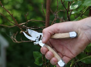 esschert design Gartenpflege-Set Garten Multitool Wurzeljäger, Holzsäge, Schere, Hippe aus Edelstahl