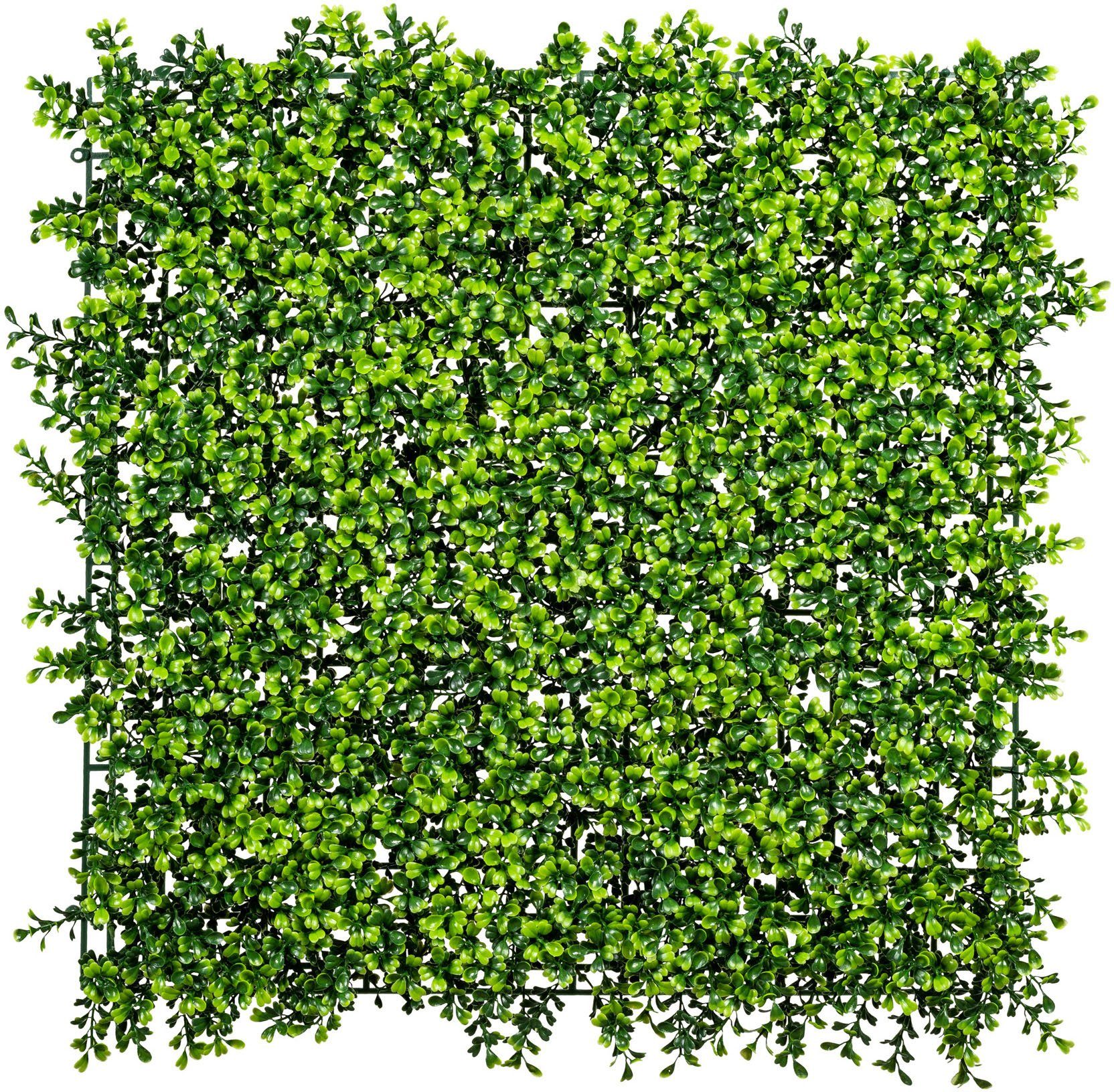 Höhe green, Creativ Kunstpflanze cm 50 Buchsbaummatte Buchsbaum,