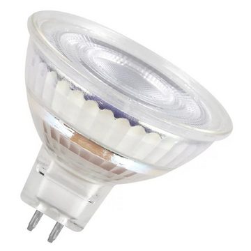 Osram LED-Leuchtmittel LED GU5.3 Star Strahler MR16 36° 3,8W, GU5.3, neutralweiß