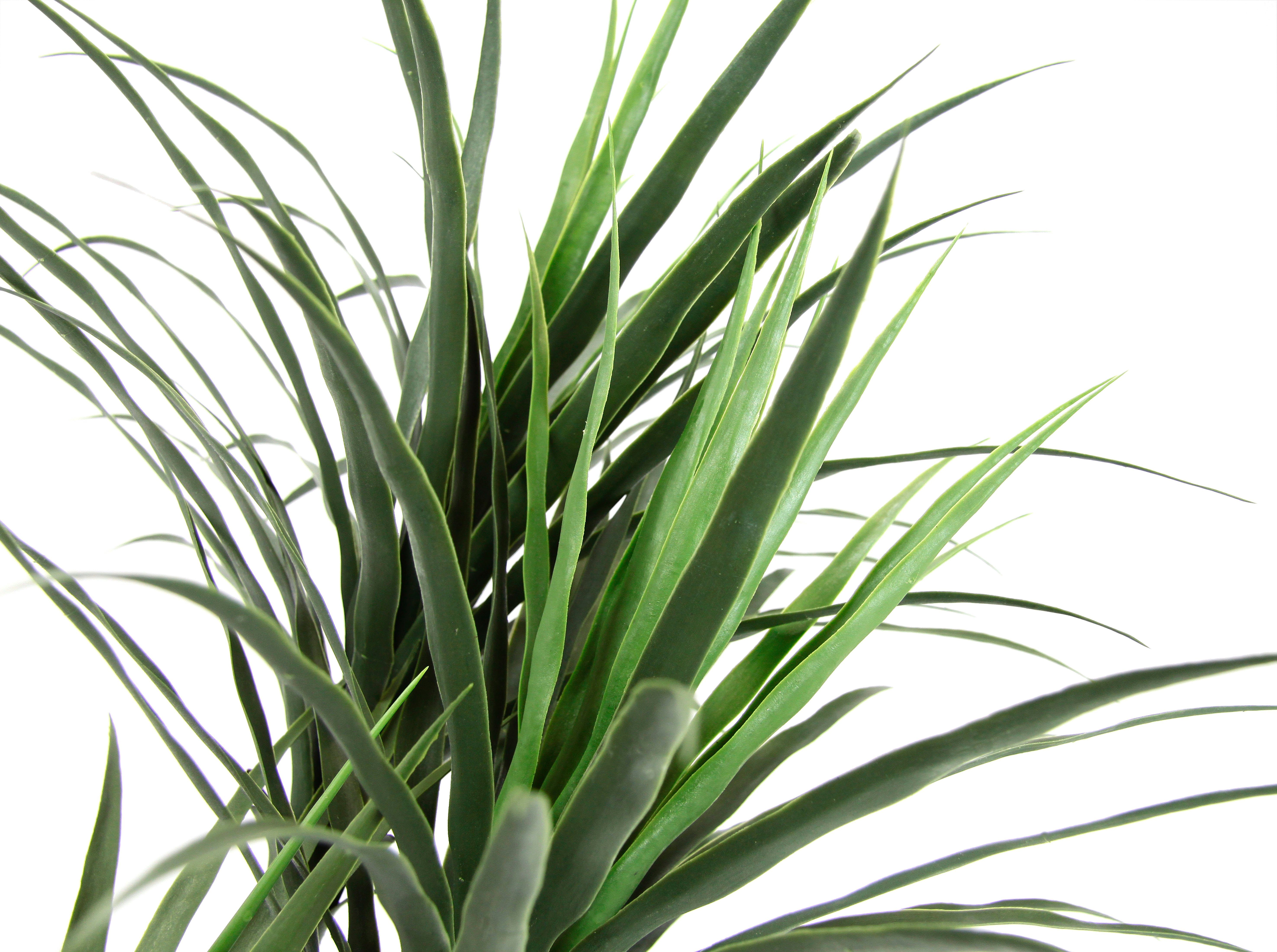 Kunstbaum Palme Dracena im Topf künstlich günstig online kaufen