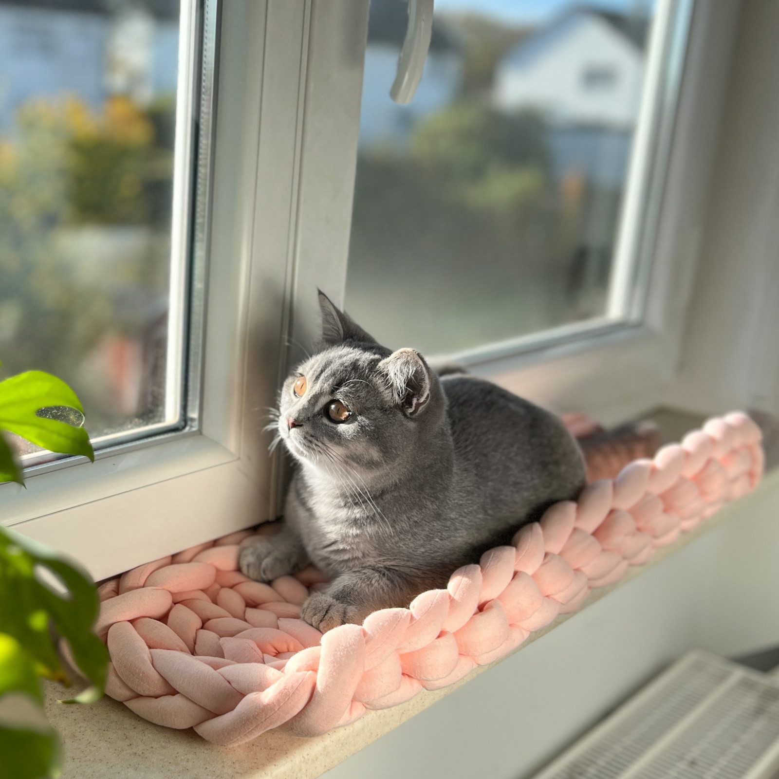 Aumüller Tierkissen Katzenkorb und Fensterbankliege Grobstrick, Schlafplatz für Katzen,...