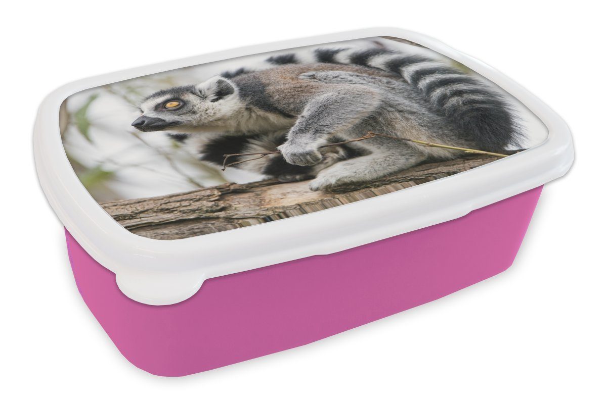 MuchoWow Lunchbox Affe - Baum - Ringelschwanzlemur, Kunststoff, (2-tlg), Brotbox für Erwachsene, Brotdose Kinder, Snackbox, Mädchen, Kunststoff rosa