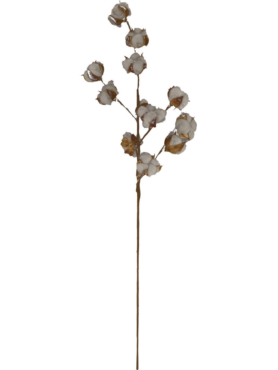 Kunstpflanze Dijk Zweig Baumwolle 77 x 20 x 3 cm, DIJK