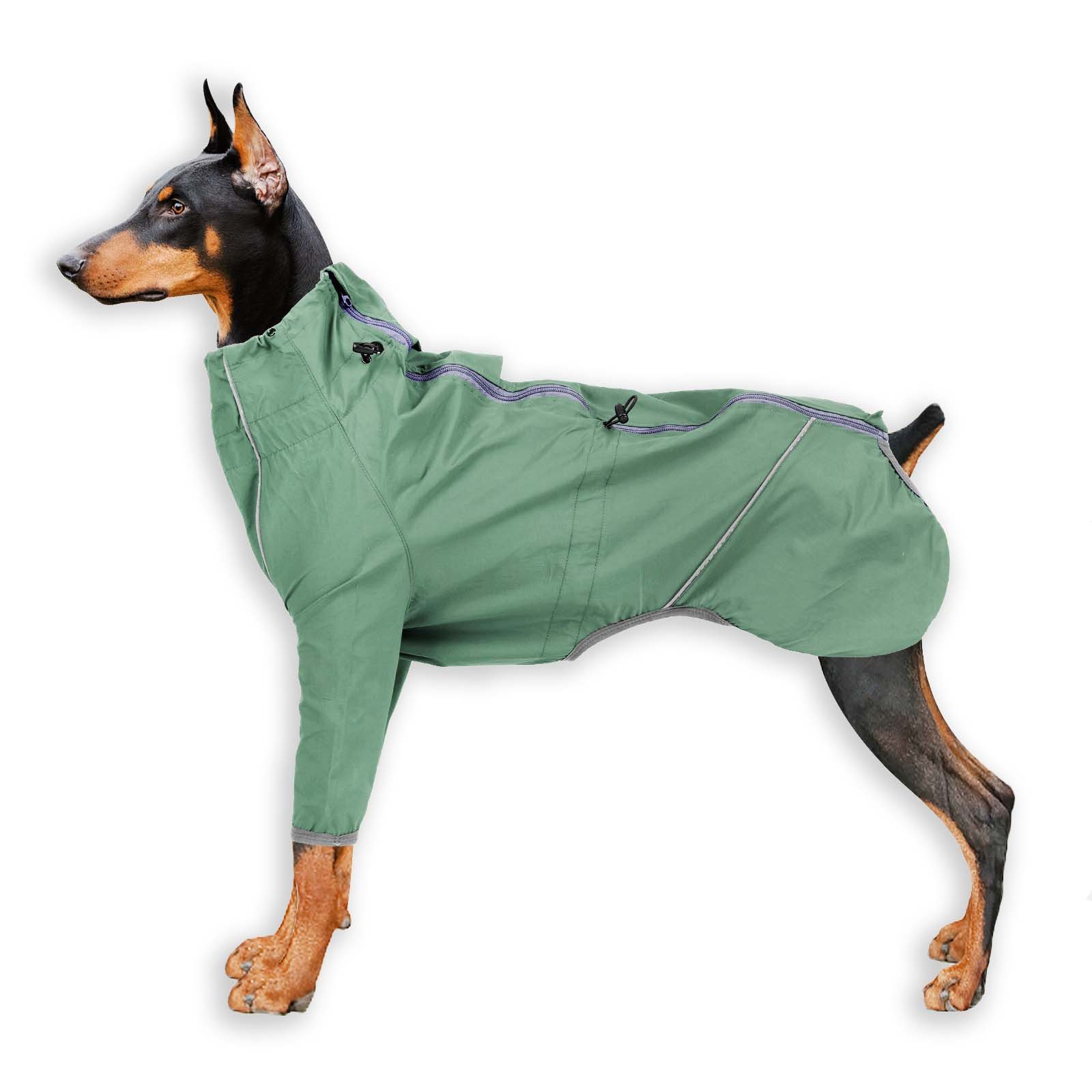 Monkimau Tierjacke Regenmantel Hund in grün - XS