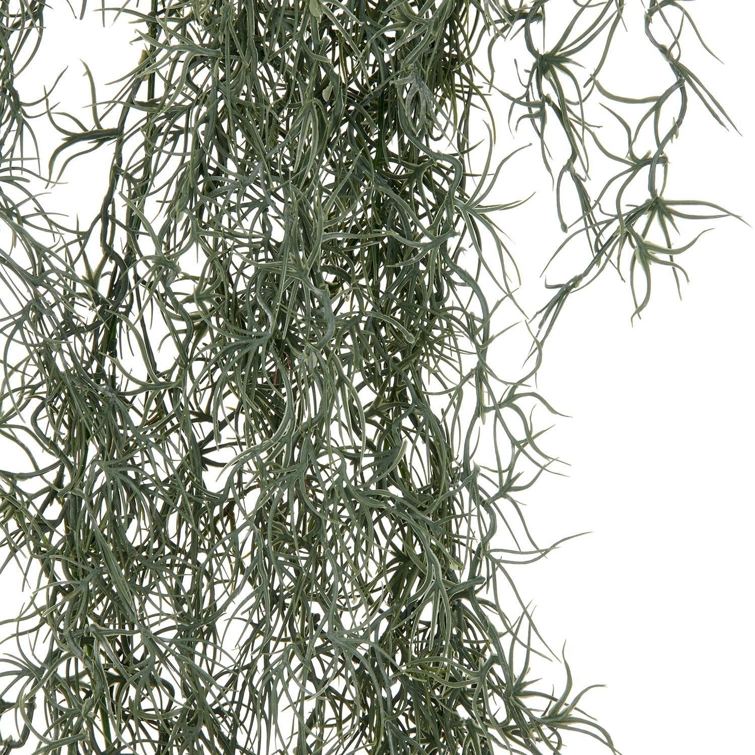 Kunstpflanze FIORA, Tillandsia-Hänger, Grau, Grün, künstlich, Gasper, Höhe 120 cm