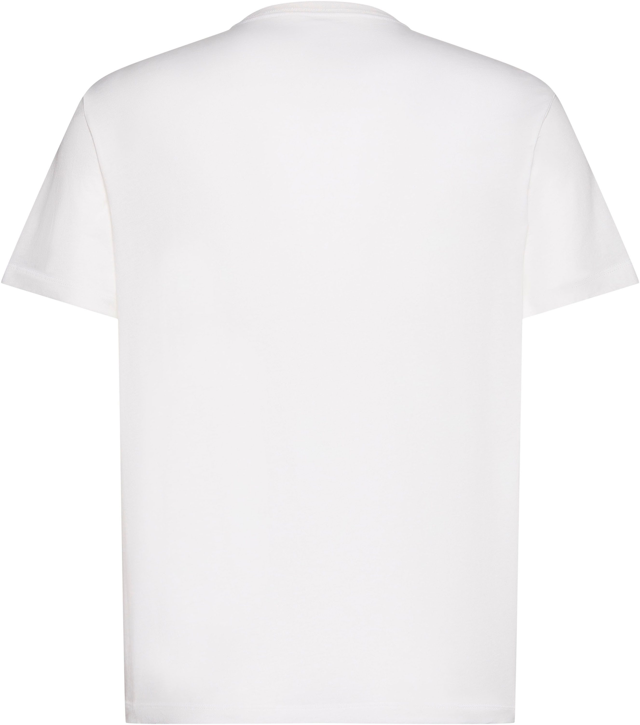 Calvin Klein T-Shirt 30S EU WHOLESALE SPORTSWEAR GRAP Regular fit mit Rundhalsausschnitt