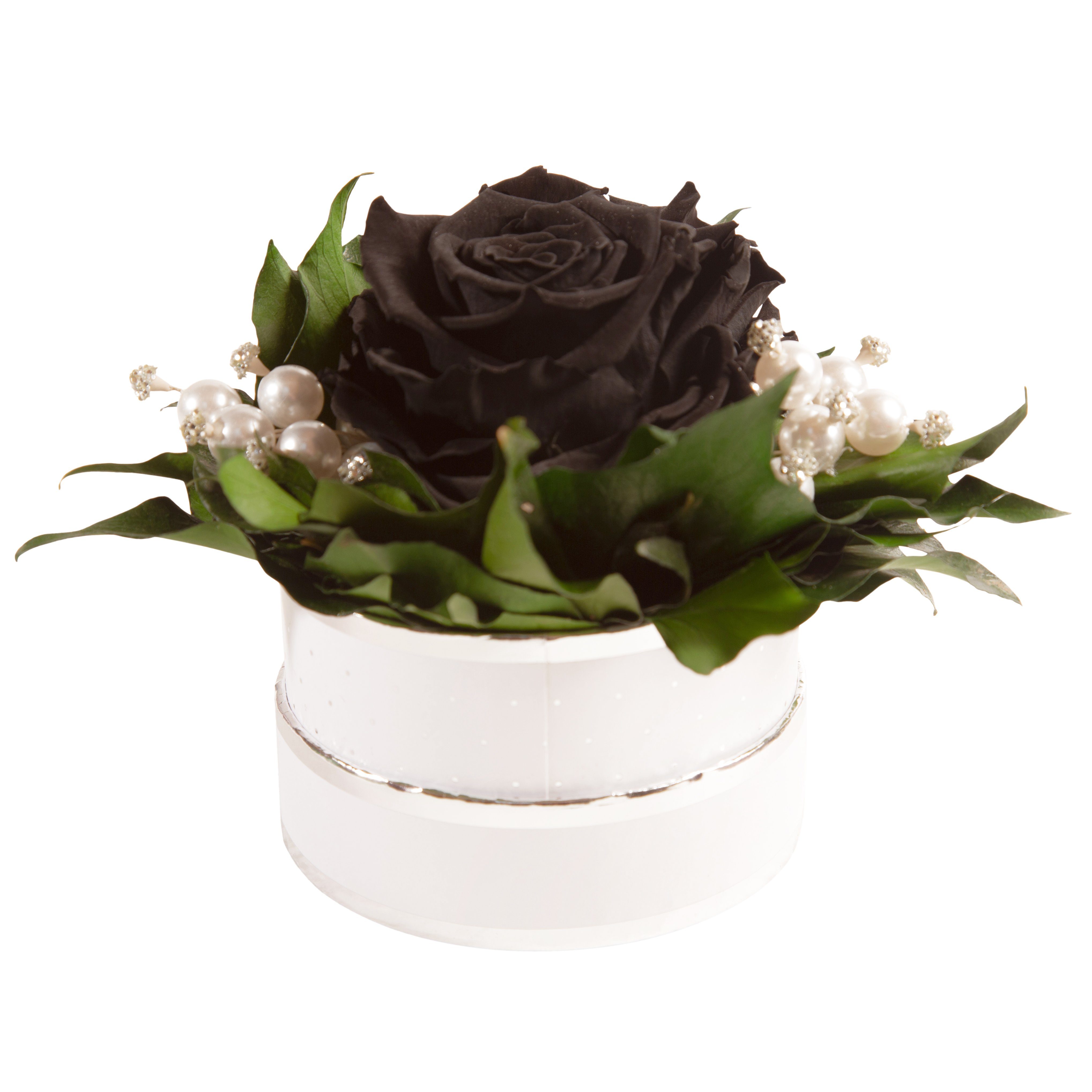 Kunstblume Infinity Rosenbox Diamonds and Pearls 1 infinity Rose Rose, ROSEMARIE SCHULZ Heidelberg, Höhe 10 cm, echte Blume die lange hält, Made in Germany