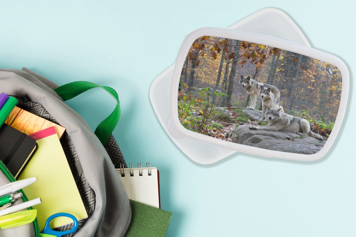 - Wald, - Mädchen Kunststoff, für Brotdose, und Jungs Brotbox Wolf für Kinder und MuchoWow Erwachsene, Lunchbox weiß (2-tlg), Herbst