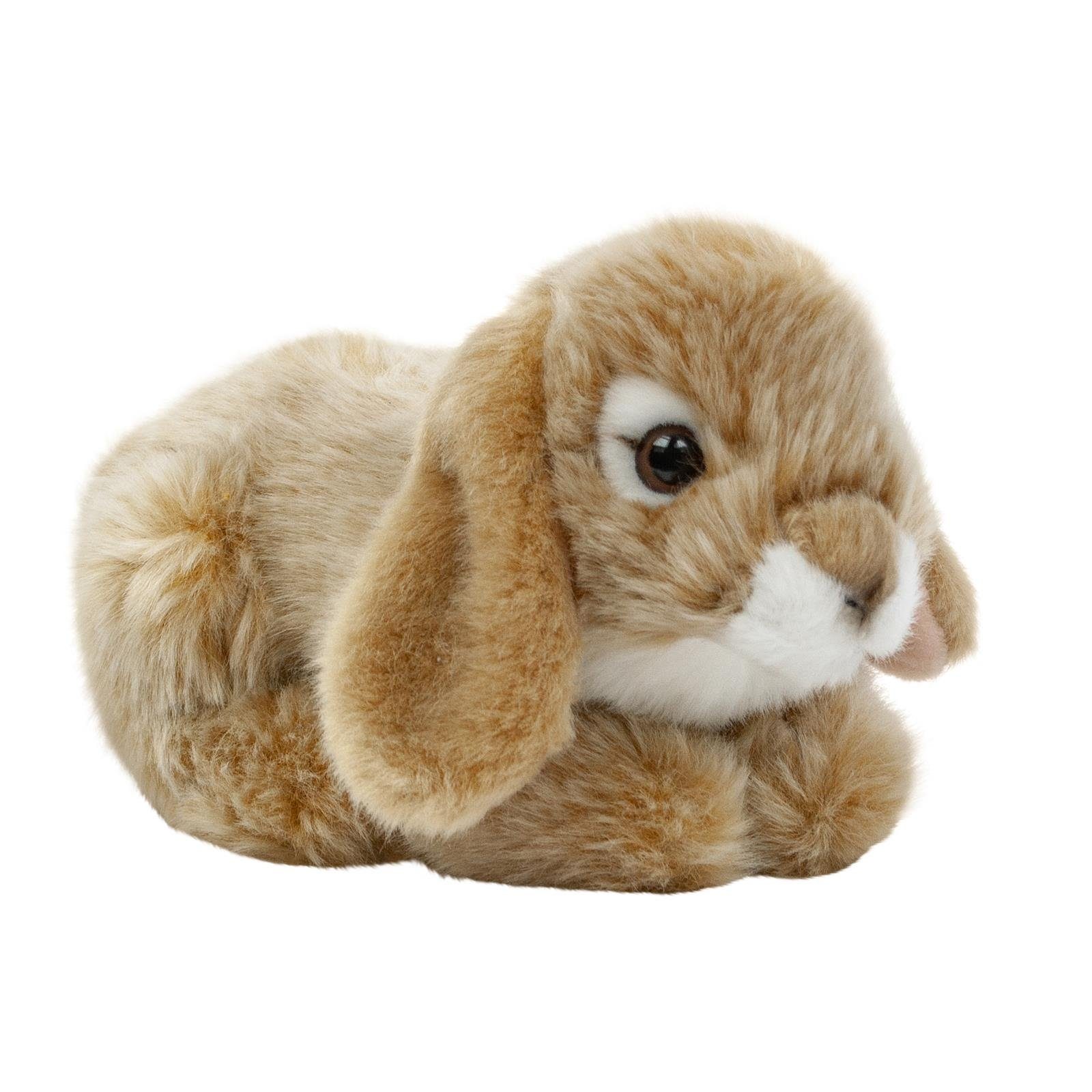 Teddys Rothenburg Kuscheltier Hase 18 cm liegend hellbraun Plüschhase Stofftier (Plüschtier, Stoffhase, Kaninchen)