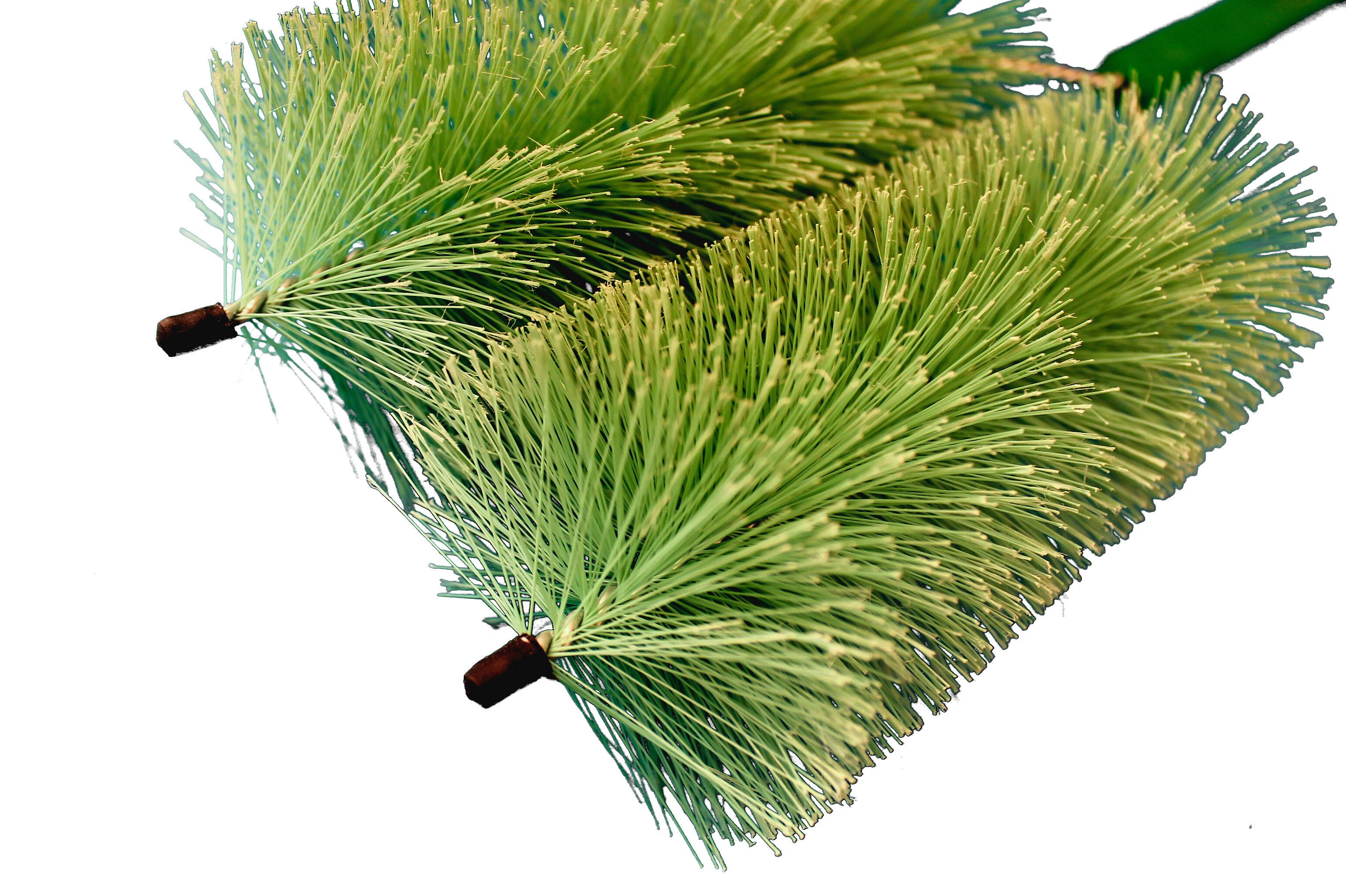 Poller GmbH Vogtland Papierhandtuch HEIZKÖRPERBÜRSTE U-FORM, Kunsthaar, m. Plastikgriff