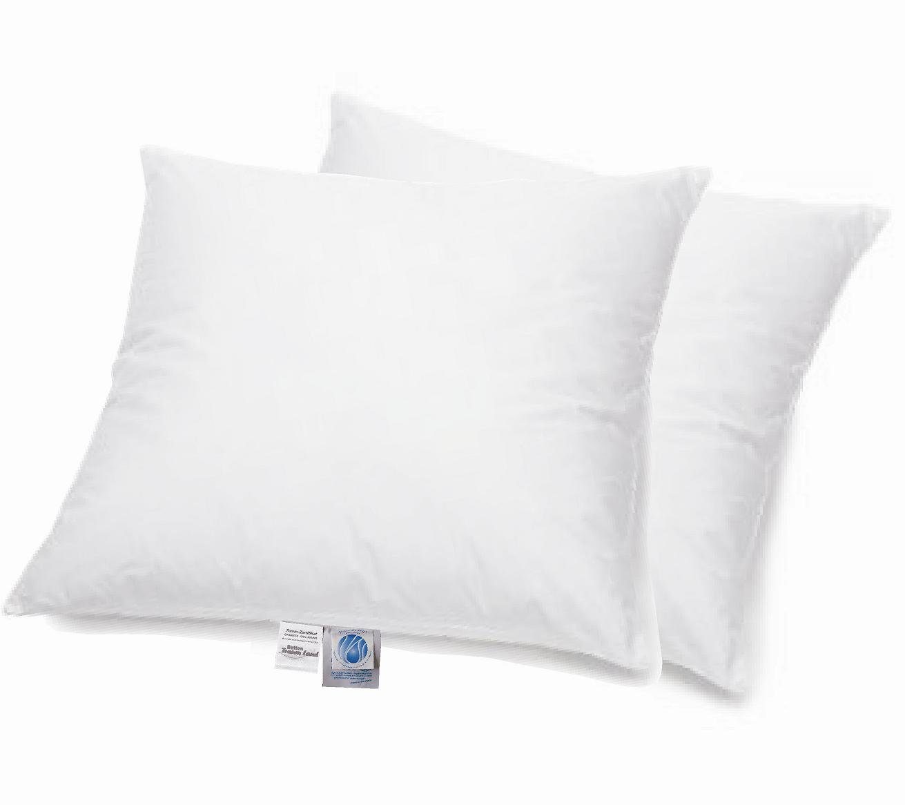 Betten Traumland Federkissen Angebot Set 2 Arktic Kopfkissen 100% Federn 80 günstig online kaufen