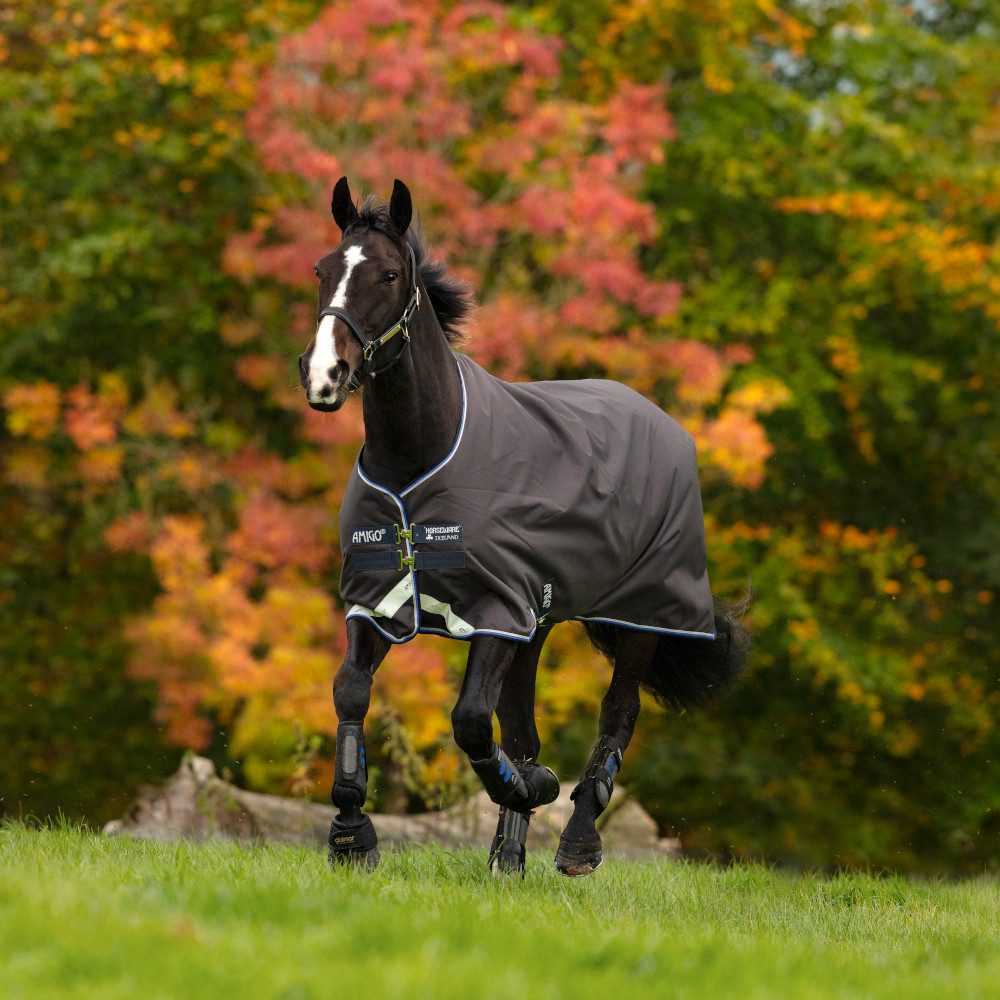 Pferde-Thermodecke Horseware Amigo Bravo 12 Turnout 100g - Excal/StrBlue/Black