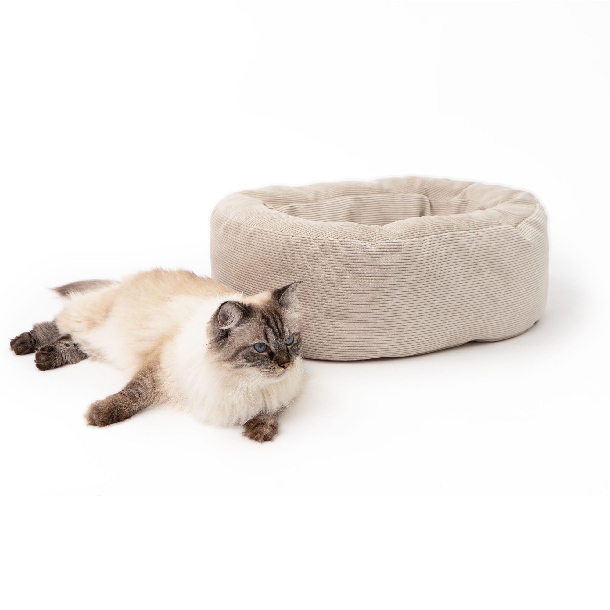 LucyBalu Tierbett DINGHY Katzenbett waschbar, Katzen Schlafplatz, Katzenkis günstig online kaufen