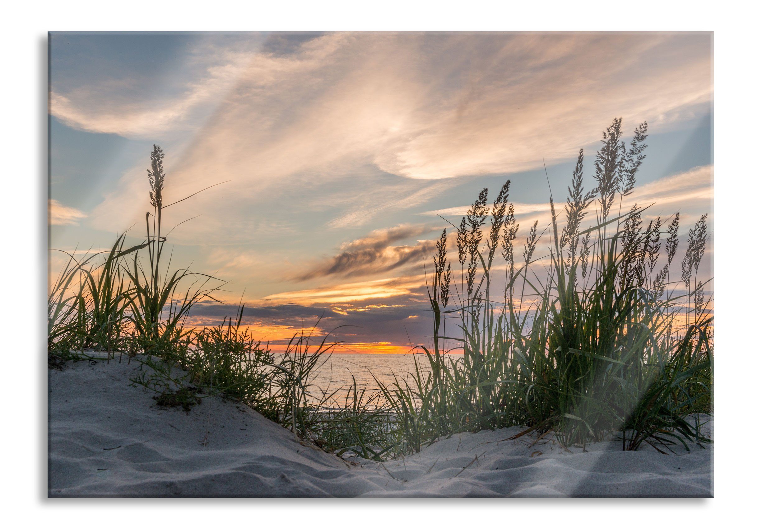 Glasbild Gras am Strand bei Sonnenuntergang