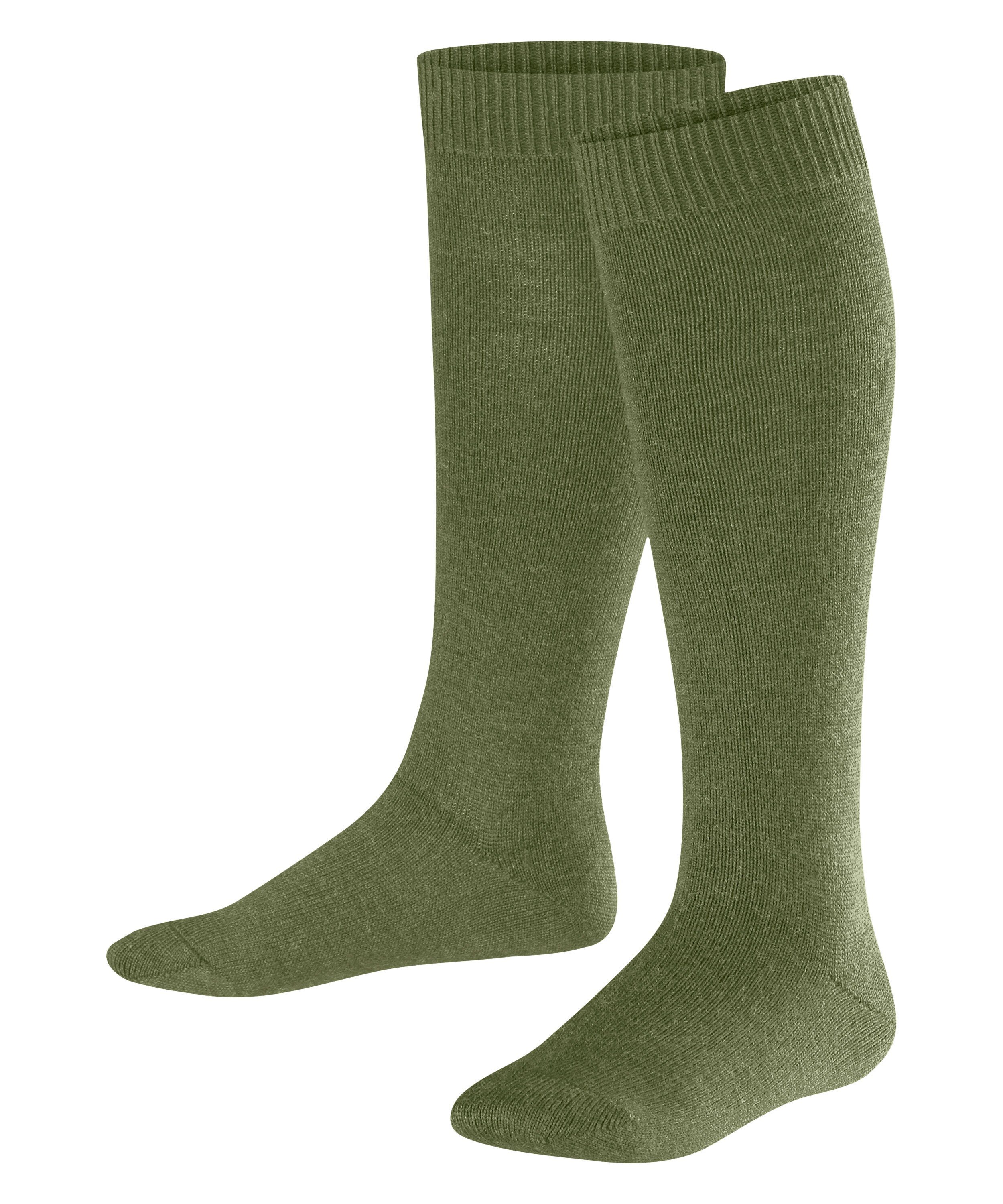 FALKE Kniestrümpfe Comfort Wool (1-Paar) Baumwolle/Merinowolle-Mix sern green (7681)