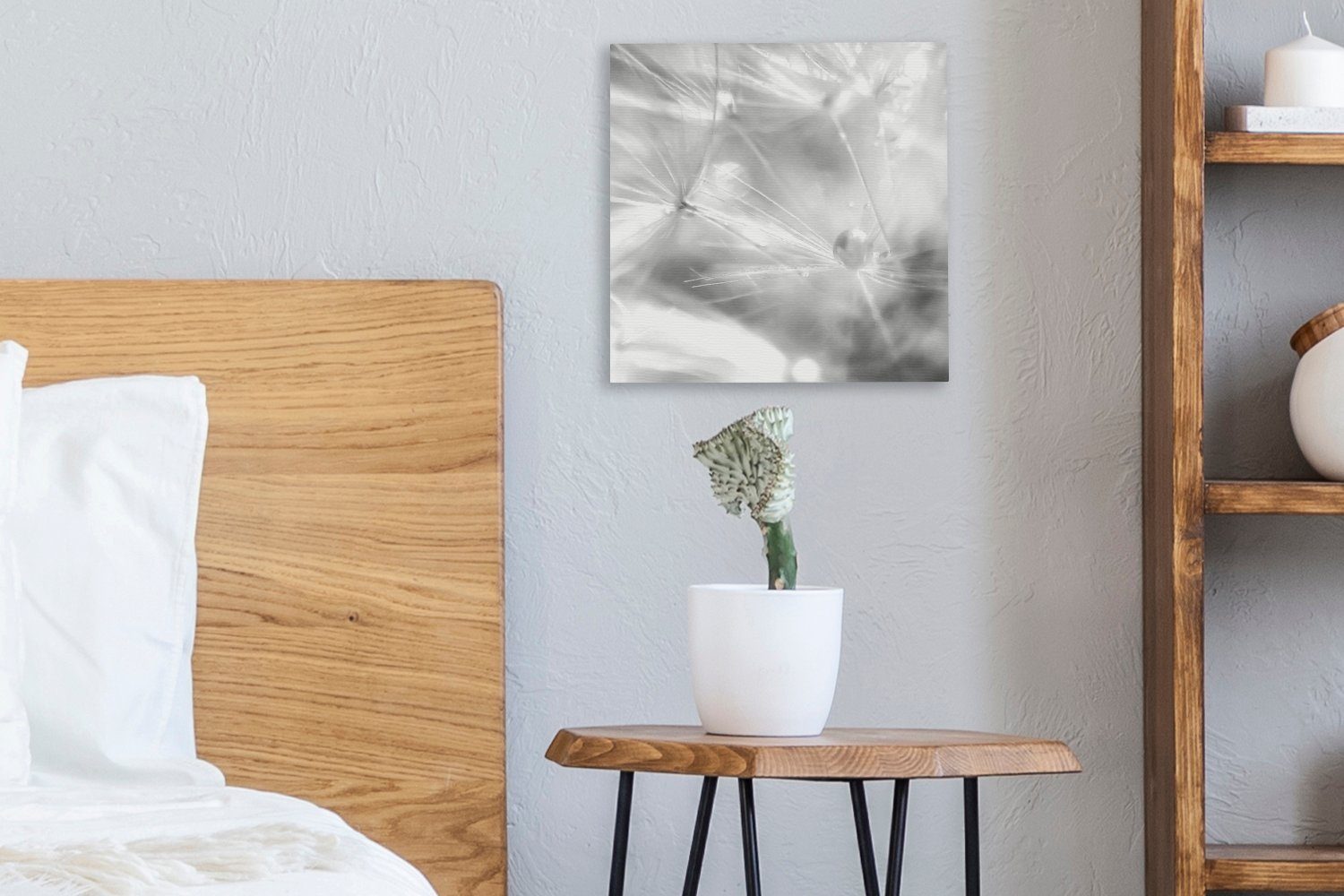 OneMillionCanvasses® Leinwandbild Ein Löwenzahnkeimling, Schlafzimmer St), Wohnzimmer (1 schwarz bedeckt und frühem - Tau Leinwand weiß, mit für Bilder