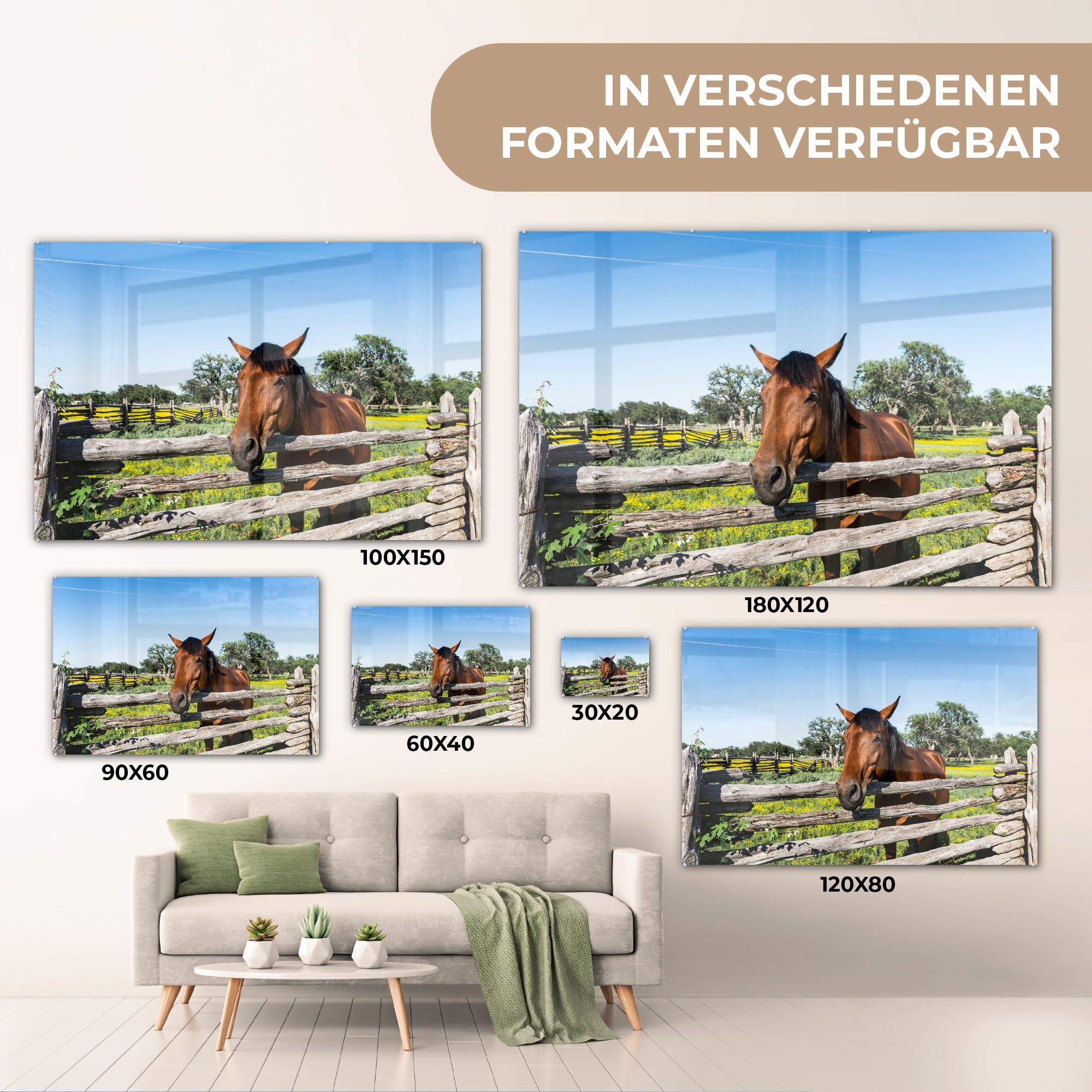 MuchoWow Acrylglasbild Acrylglasbilder & - Zaun, Pferde St), Schlafzimmer Wohnzimmer Tiere - (1