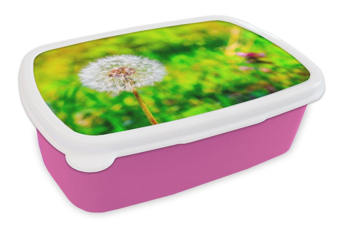 MuchoWow Lunchbox Löwenzahn - Gras - Blume, Kunststoff, (2-tlg), Brotbox für Erwachsene, Brotdose Kinder, Snackbox, Mädchen, Kunststoff rosa