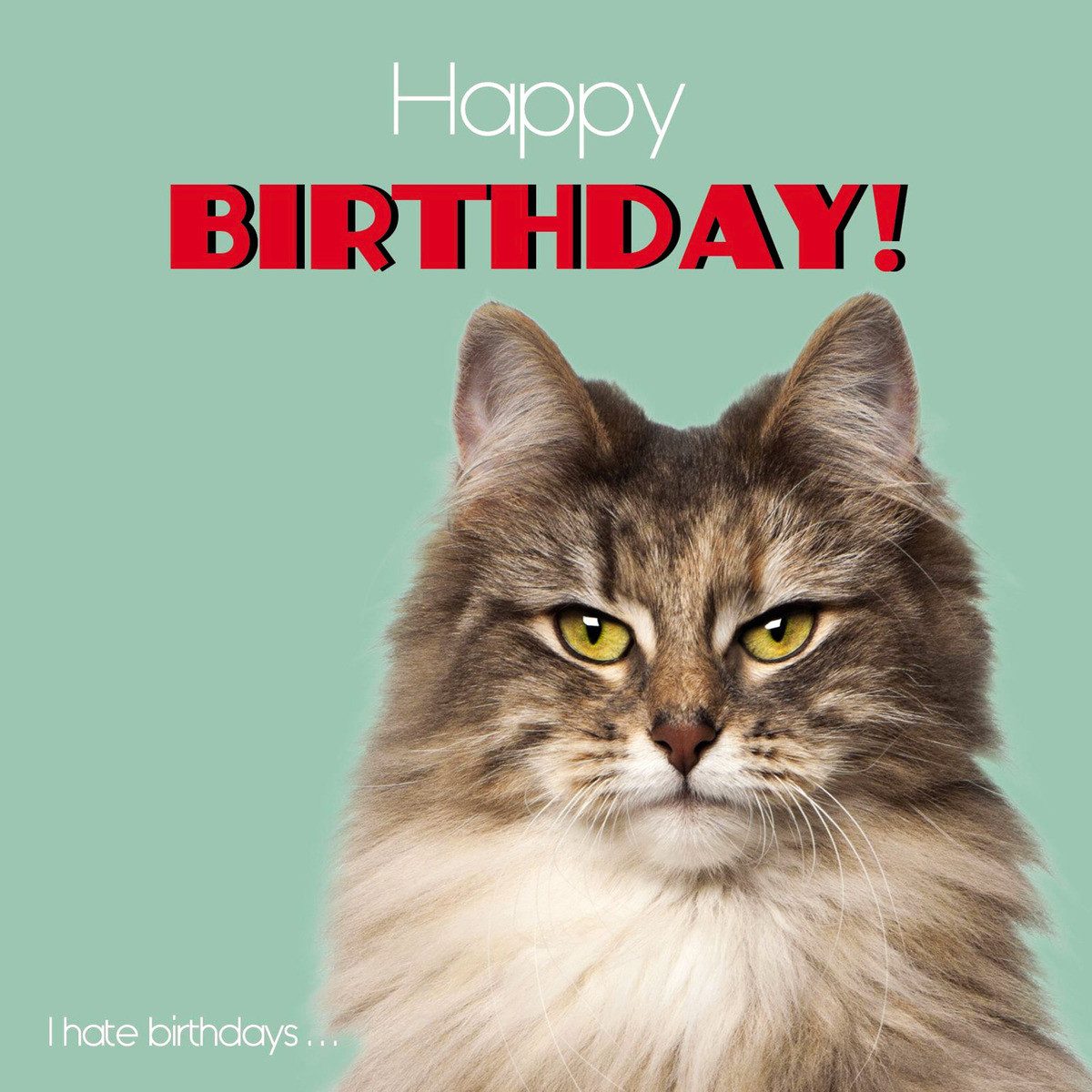 Flamingo Grußkarten Karte "Happy Birthday - I hate Birthdays"