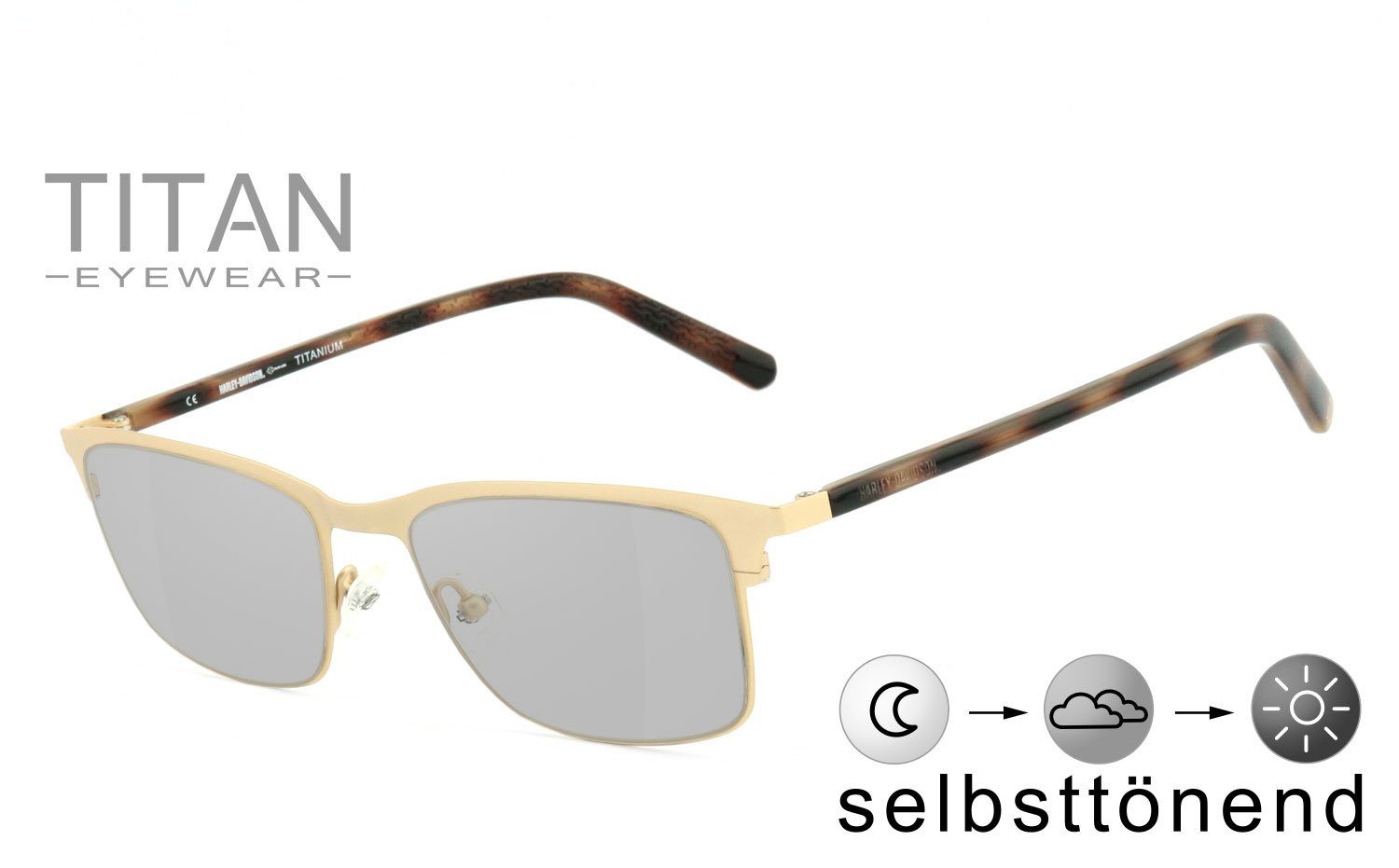 Sonnenbrille HD1017-53032