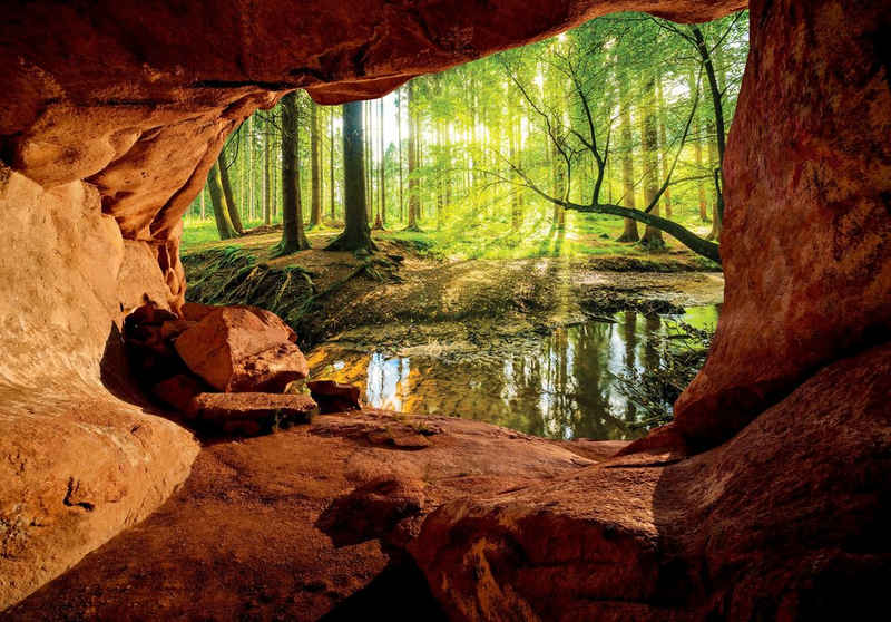 Wallarena Fototapete 3D EFFEKT Wald Höhle Sonne Grotte Panorama Natur Landschaft Vlies Tapete für Wohnzimmer oder Schlafzimmer Vliestapete Wandtapete Motivtapete, Glatt, 3D-Optik, Vliestapete inklusive Kleister