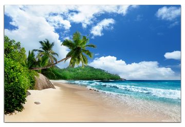 Wallario Wandfolie, Urlaub auf den Seychellen unter Palmen am Sandstrand, wasserresistent, geeignet für Bad und Dusche
