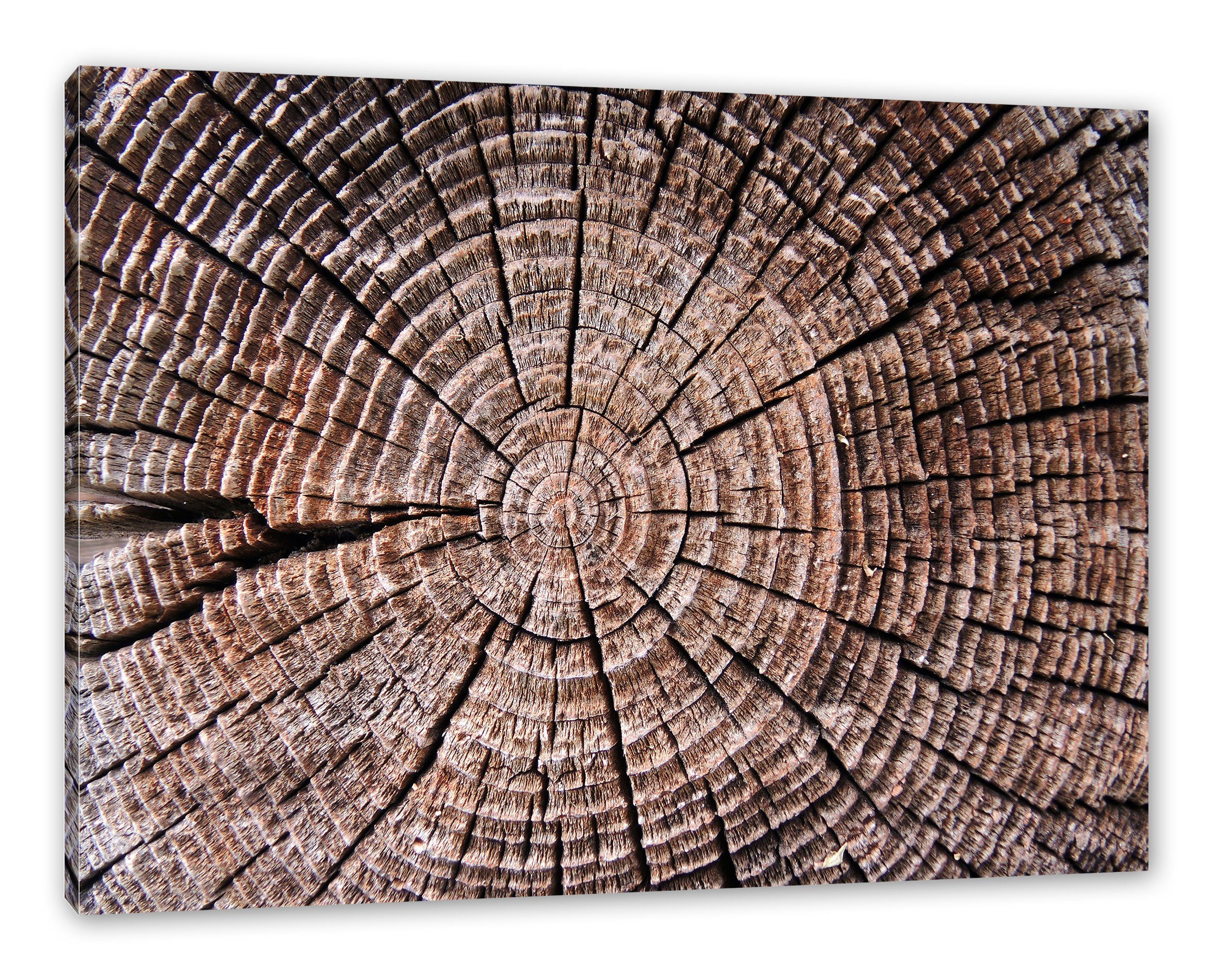 Jahresringe Baumstamm bespannt, inkl. Jahresringe, Baumstamm (1 Pixxprint Zackenaufhänger Leinwandbild St), fertig Leinwandbild