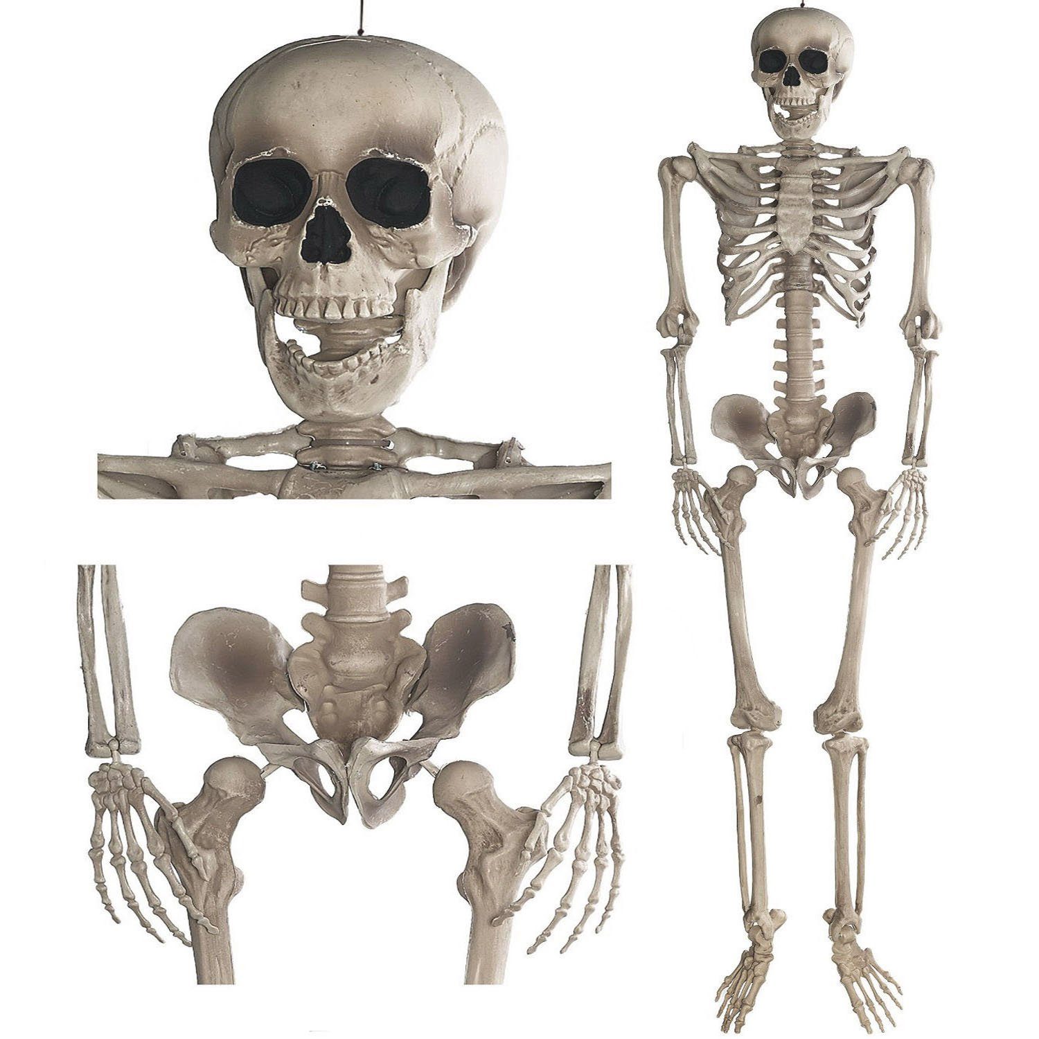 Goods+Gadgets Hängedekoration Skelett 160 cm (Halloween Deko), Ganzkörper Skeleton