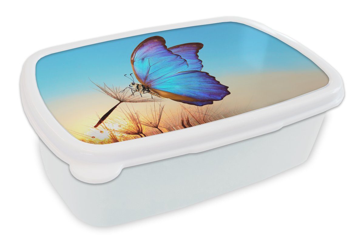 MuchoWow Lunchbox Schmetterling - Löwenzahn - Blau, Kunststoff, (2-tlg), Brotbox für Kinder und Erwachsene, Brotdose, für Jungs und Mädchen weiß