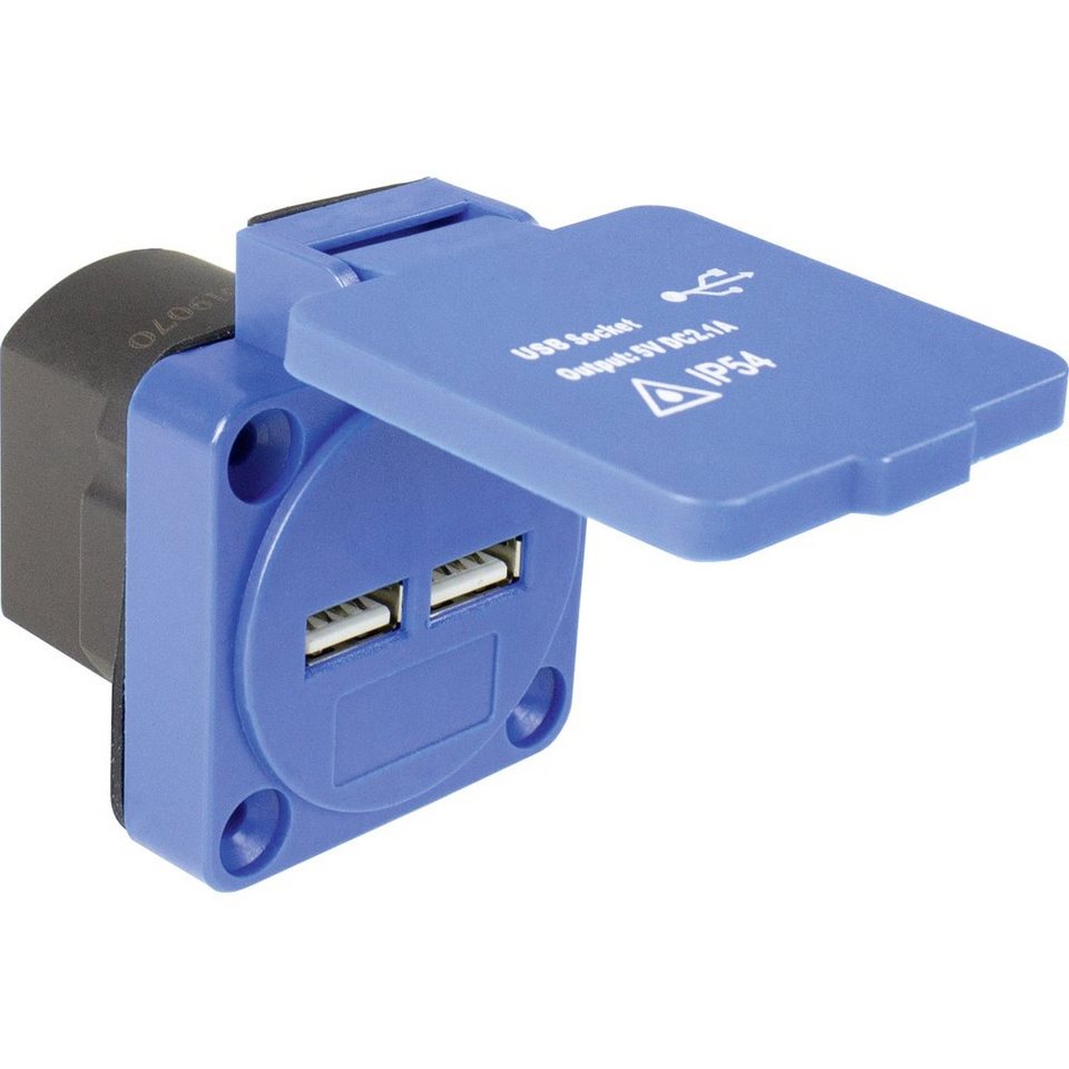 as Schwabe Steckdose AS Schwabe 45089 USB-Ladesteckdose