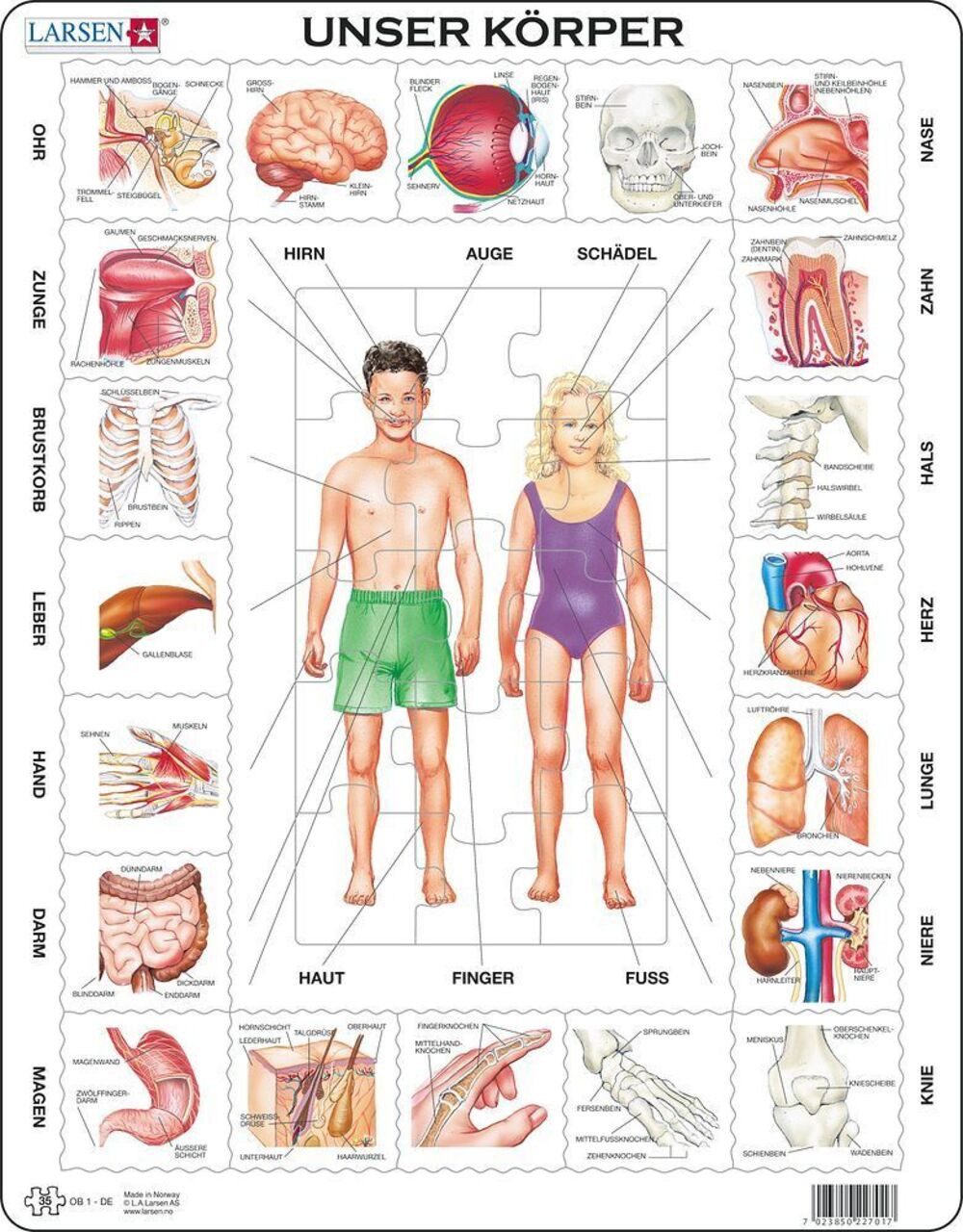 Media Verlag Puzzle Unser Körper (Kinderpuzzle), 49 Puzzleteile