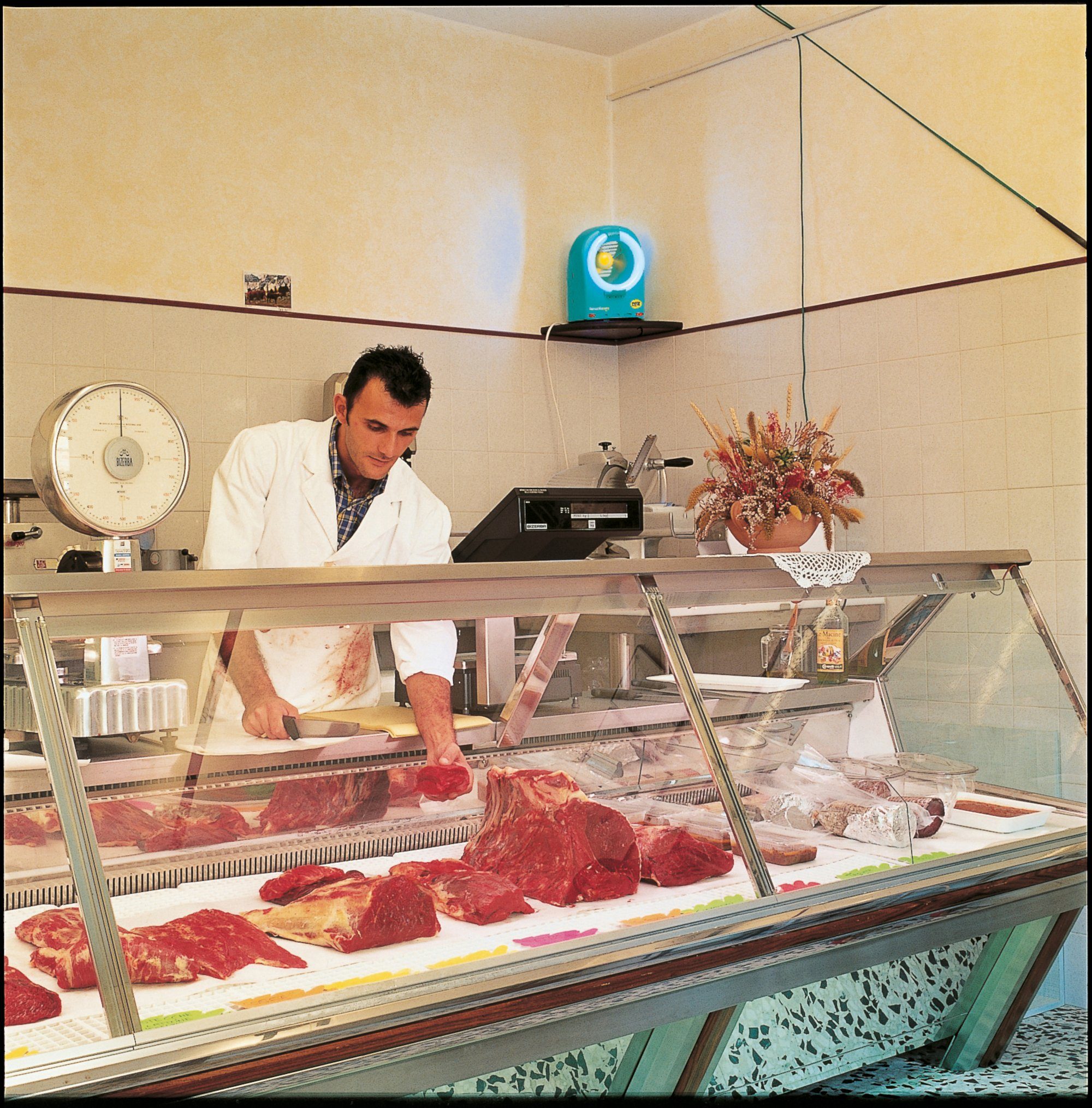 Mo-El Lebendfalle Insectivoro Sterilizer