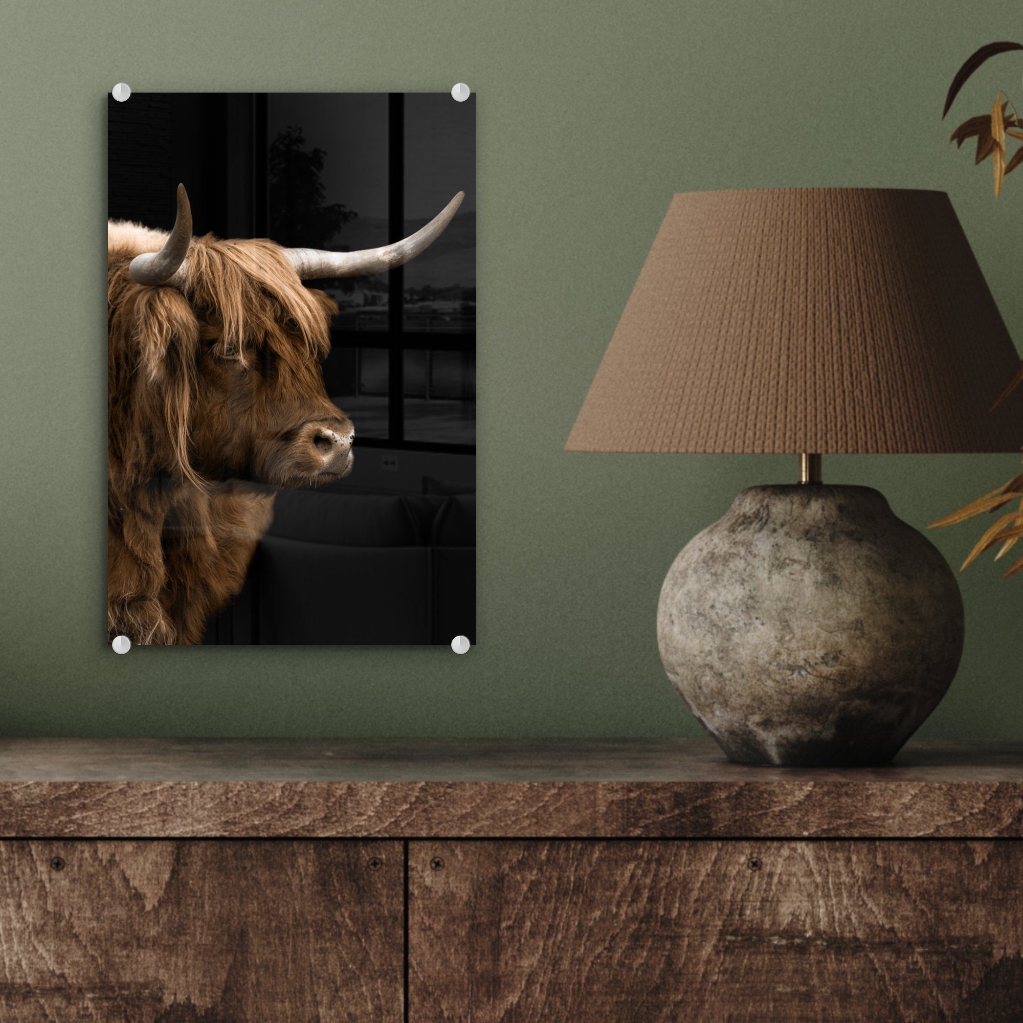 MuchoWow Acrylglasbild Highlander Tier, Schottischer Fell Glasbilder - Wanddekoration - - Glas Bilder Foto auf - (1 auf - St), Wandbild Glas