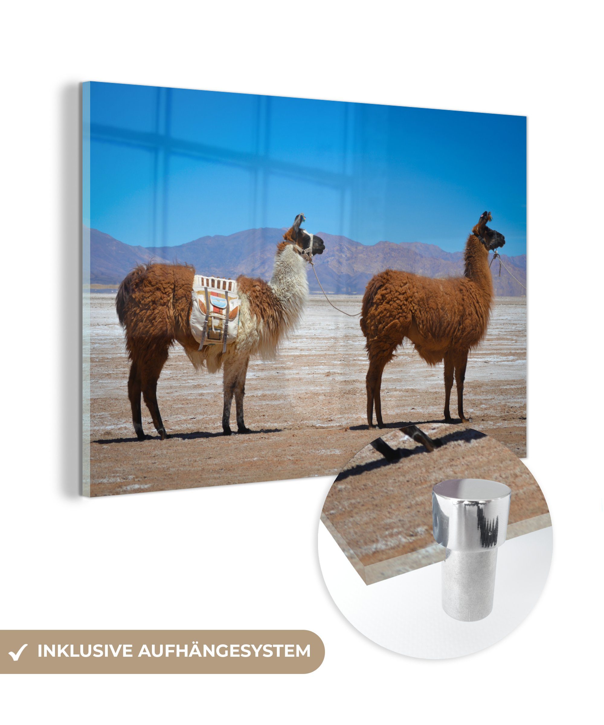 - - Wohnzimmer Wüste Acrylglasbilder Berge, MuchoWow Schlafzimmer St), Lama & Acrylglasbild (1