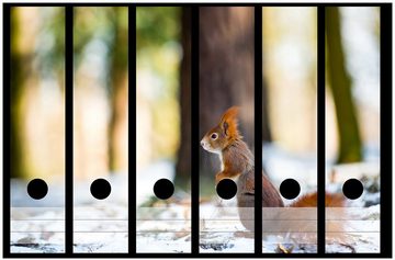Wallario Etiketten Neugieriges Eichhörnchen im verschneiten Wald, Ordnerrücken-Sticker in verschiedenen Ausführungen
