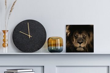 OneMillionCanvasses® Leinwandbild Löwe - Tiere - Schwarz - Porträt, (1 St), Leinwand Bilder für Wohnzimmer Schlafzimmer