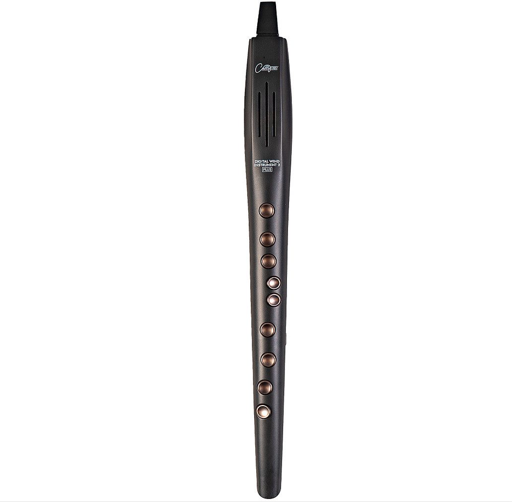 Carry-on Blockflöte CARRY-ON-DWI-2-PLUS 2 Oktavsprünge Transposition um 12 Halbtöne nach oben oder unten, 4 Stufen der Atemempfindlichkeit