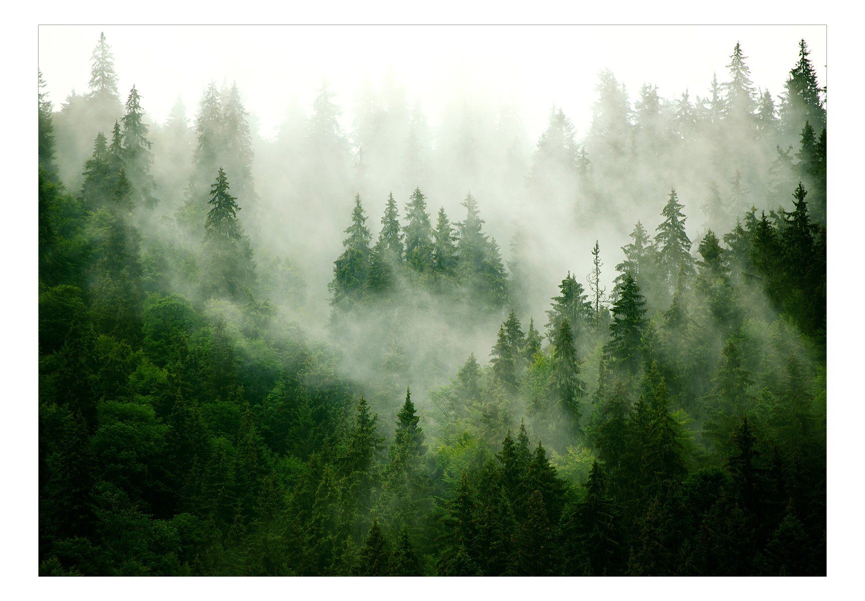 KUNSTLOFT Vliestapete lichtbeständige (Green) Forest m, Mountain Tapete Design halb-matt, 1x0.7