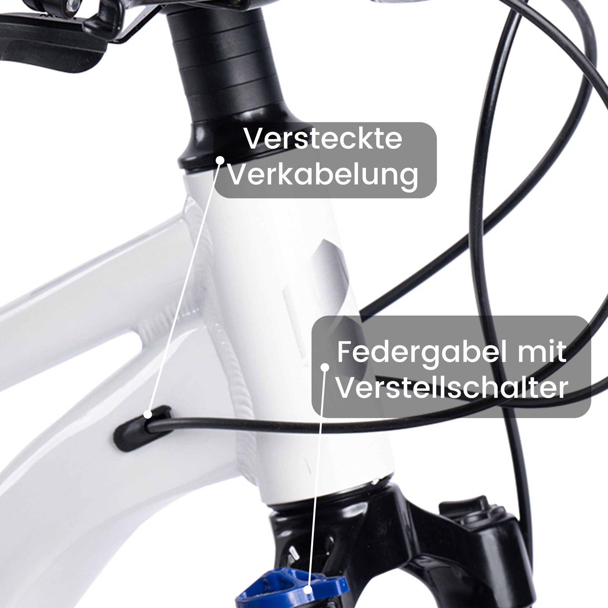 CARPAT SPORT Mountainbike 24 26 27.5 Zoll Fahrrad für Herren Damen, Mädchen und Jungen, 21 Gang Shimano Tourney Schaltwerk, Kettenschaltung, Aluminium Rahmen, Jugendfahrrad MTB Hardtail Fahrrad