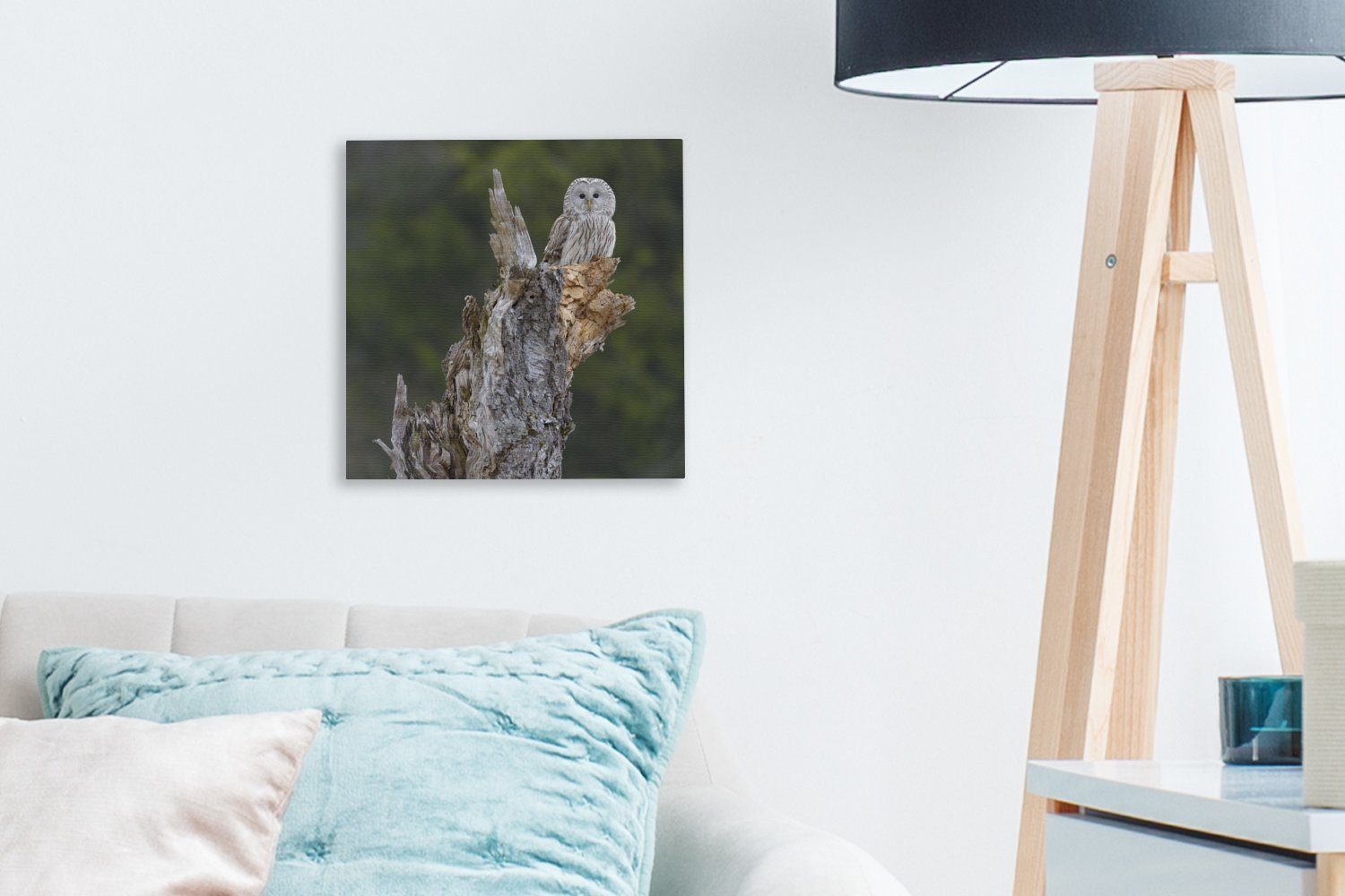 OneMillionCanvasses® Baumstamm, Wohnzimmer (1 Leinwandbild St), Steinkauz einem alten auf für Bilder Schlafzimmer Leinwand