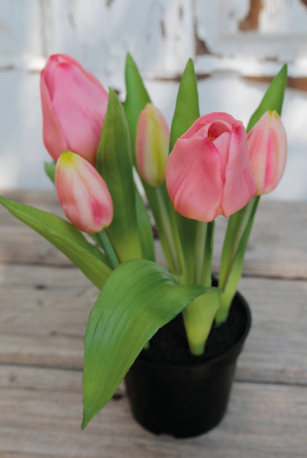 Kunsttulpe Künstliche Tulpe Caitlyn im Dekotopf, rosa-grün, 25cm, Ø2-6cm Tulpe, artplants, Höhe 25.0 cm