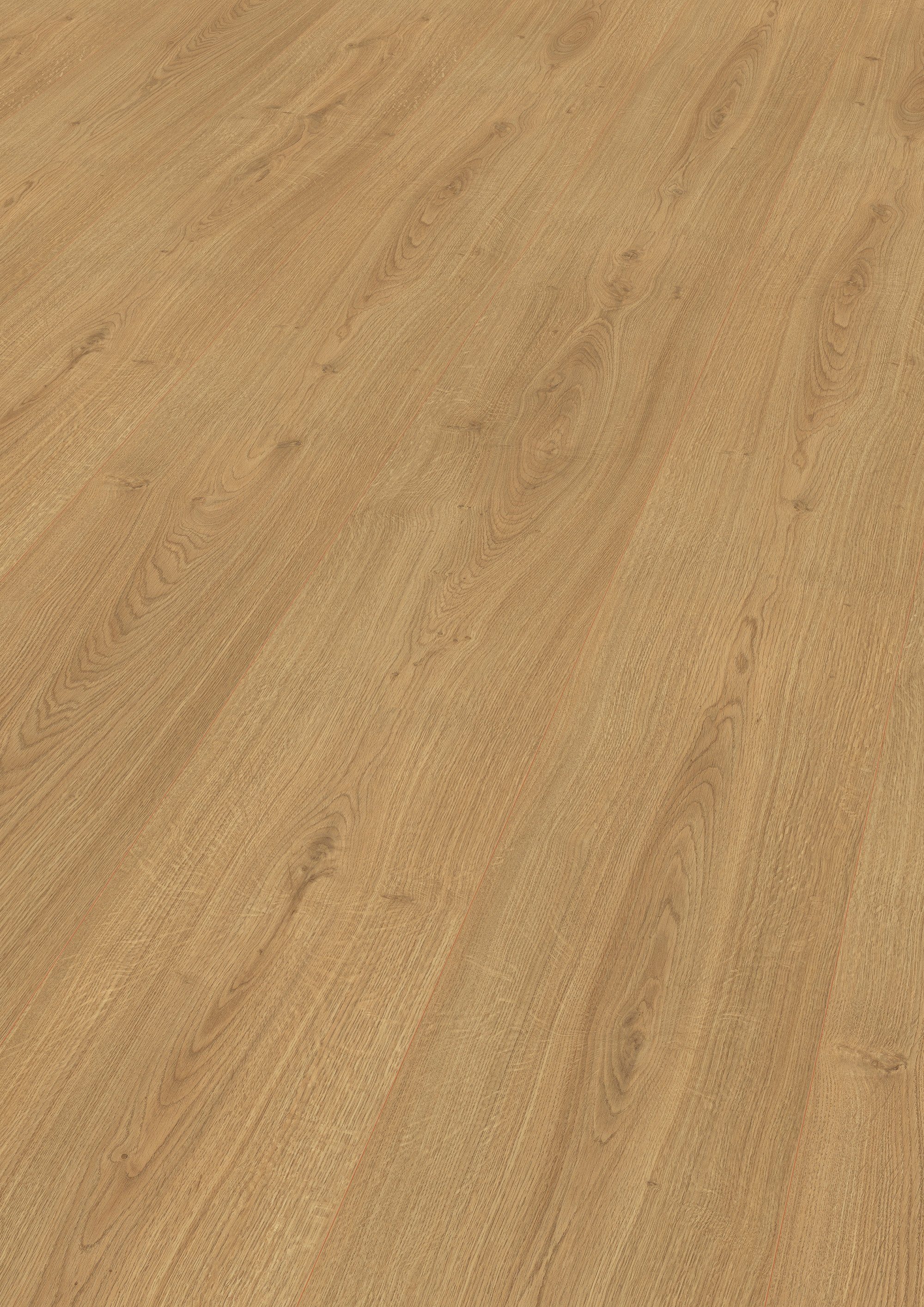 EGGER Laminat EHL067 Widford Eiche, (8mm, 2,535m),Praktisch & wertbeständig