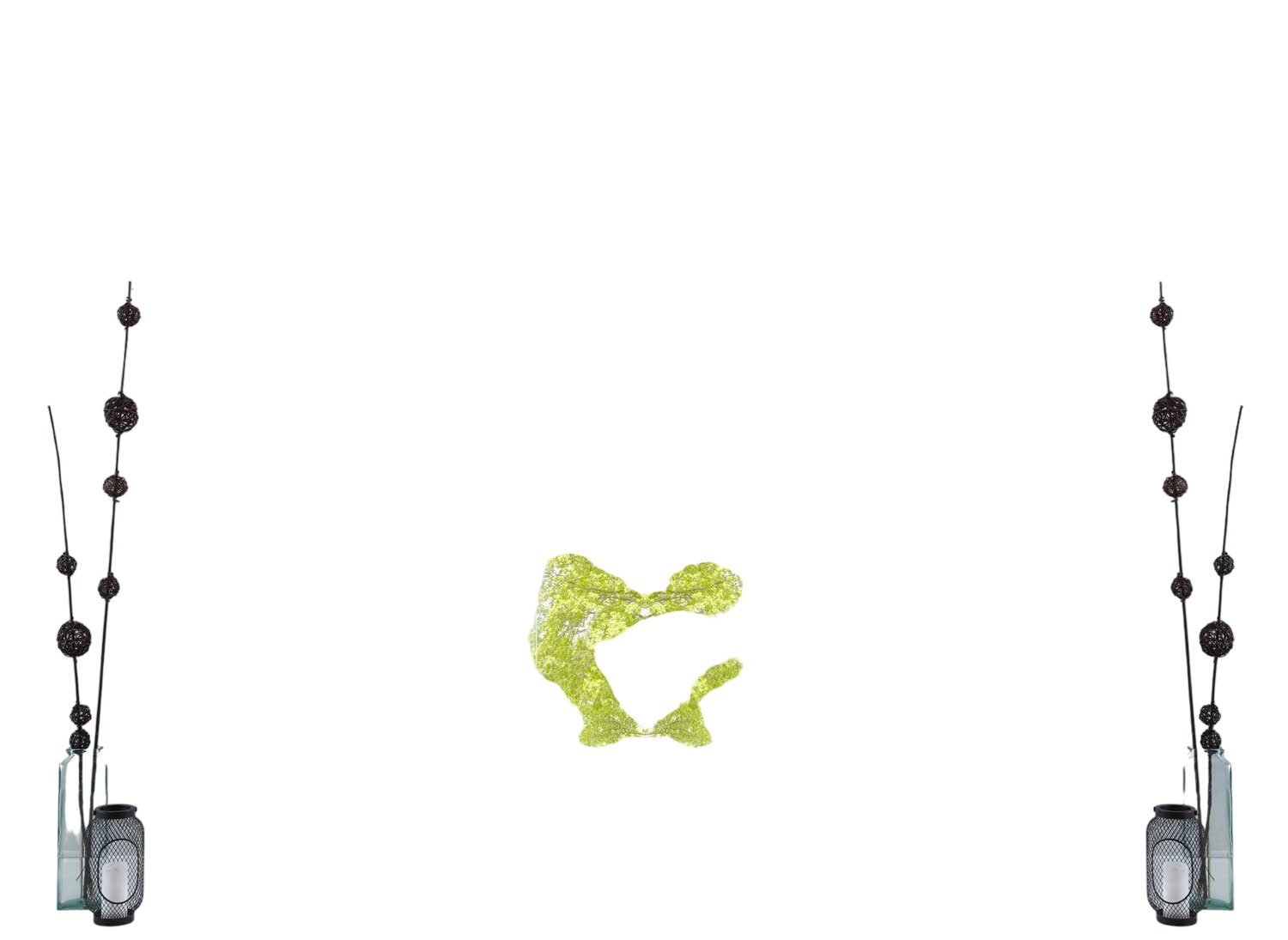 Gardinenbox Gardine, Kräuselband (2 St), transparent, günstig online kaufen