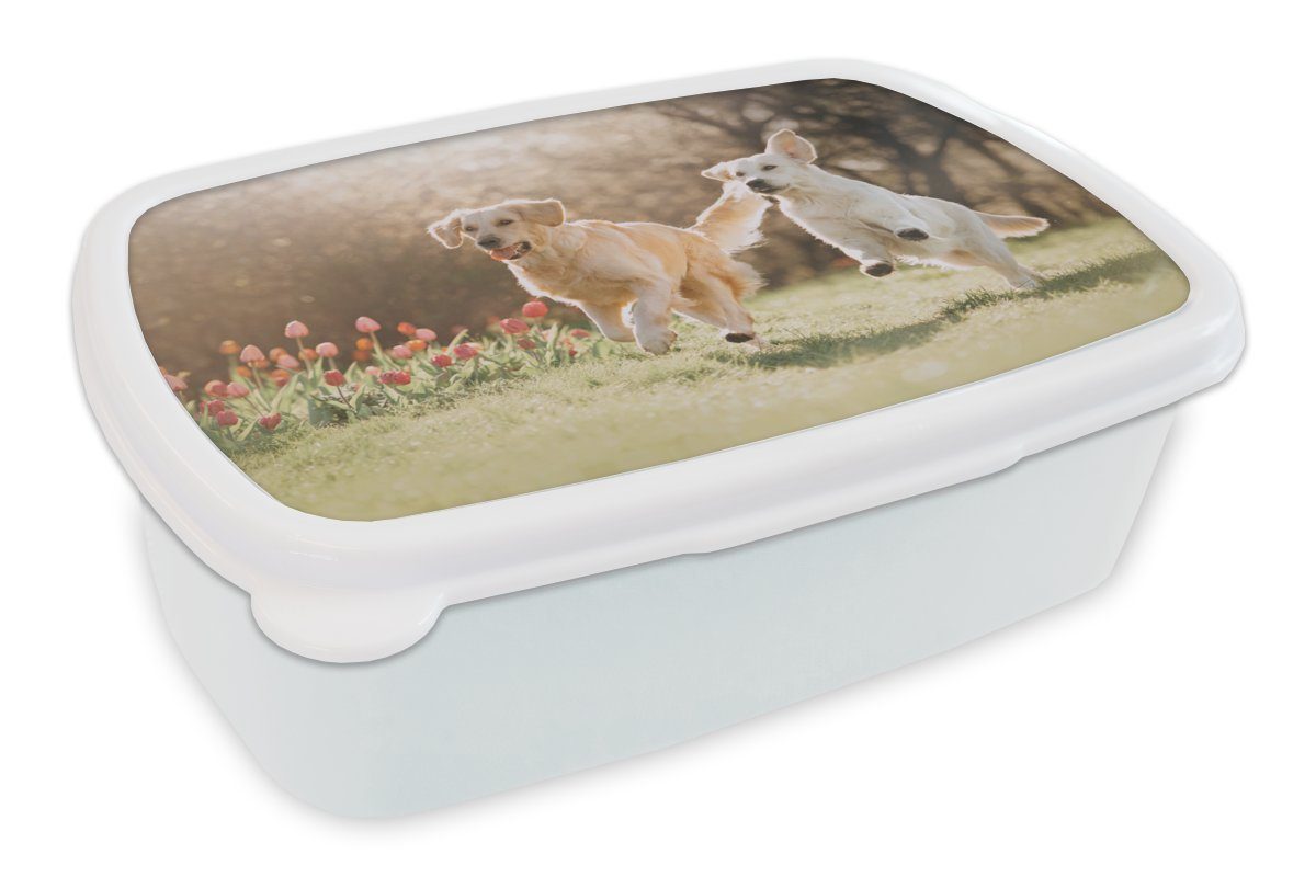 MuchoWow Lunchbox Hunde - Sonne - Frühling, Kunststoff, (2-tlg), Brotbox für Kinder und Erwachsene, Brotdose, für Jungs und Mädchen weiß